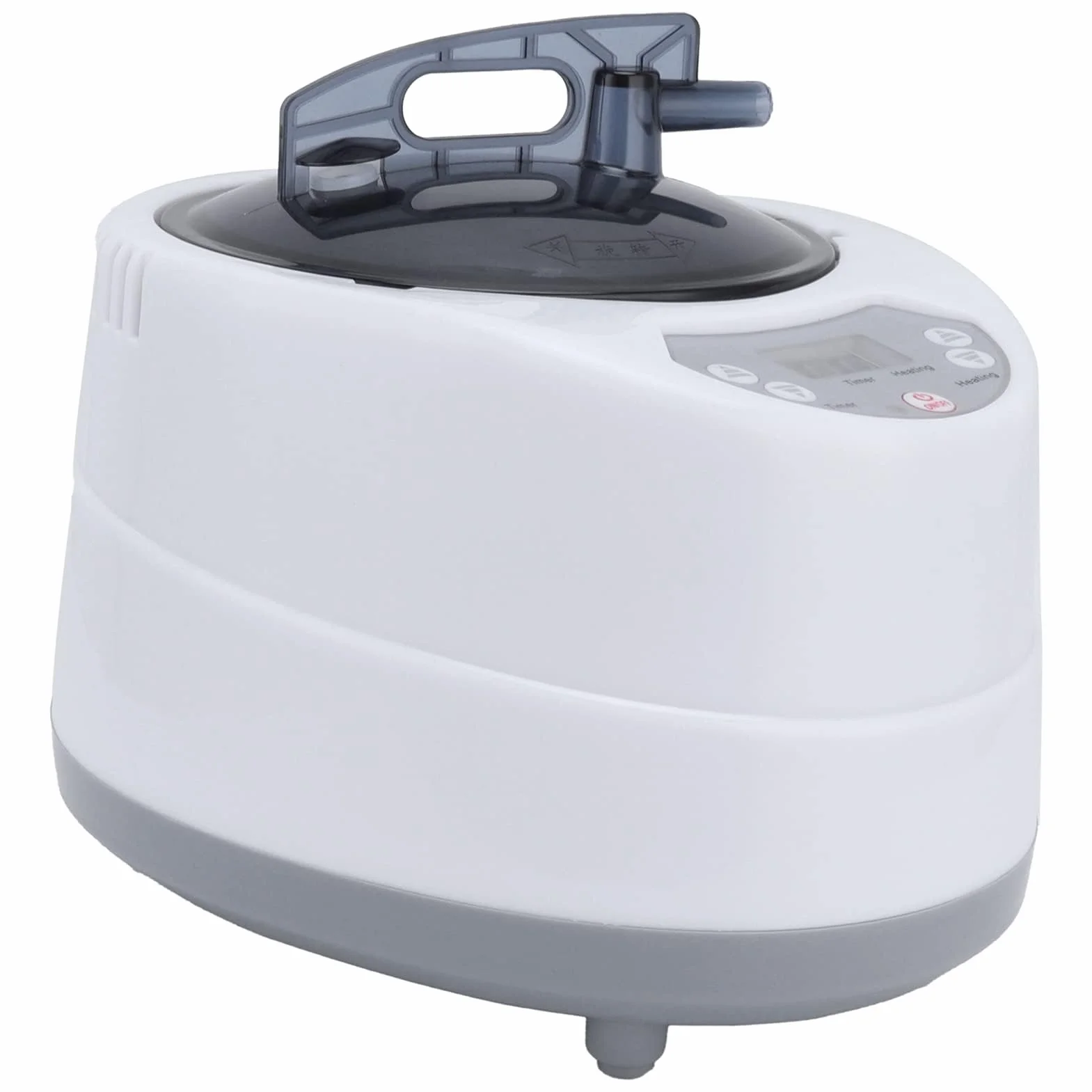 Sauna à Vapeur 1000 W Générateur de Vapeur Portable 2,0 L avec Télécommande