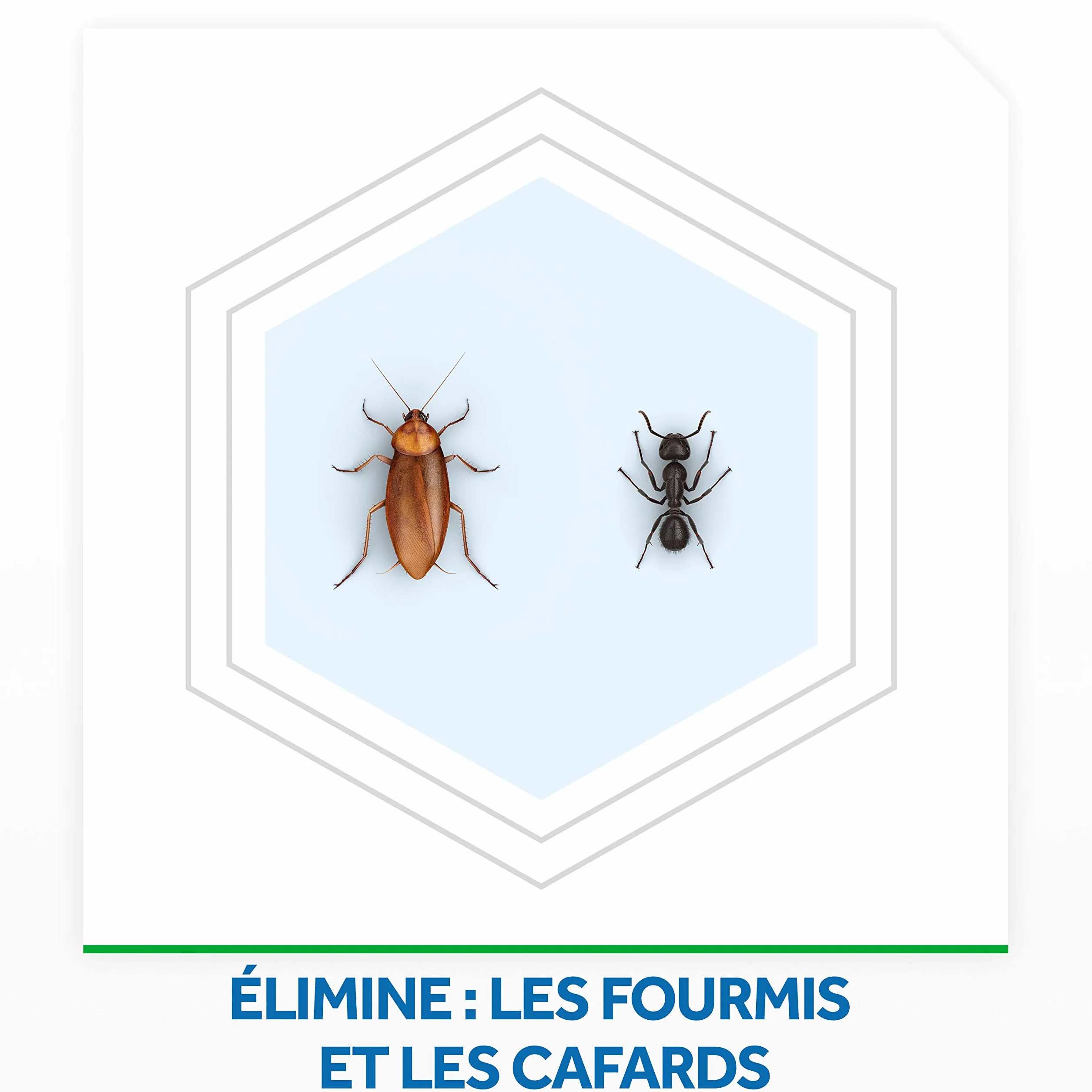 Baygon Insecticide pour cafards et fourmis 400ml