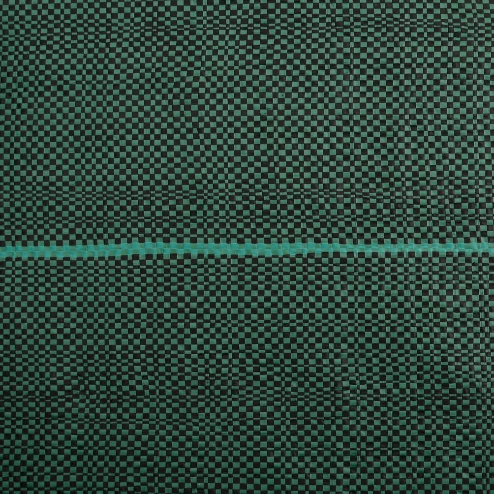 Tomostar Toile de Paillage, Géotextile de Paillage Contre Les Mauvais Herbes Toile Bâche Anti Mauvaises Herbes Vert 2x50 m PP