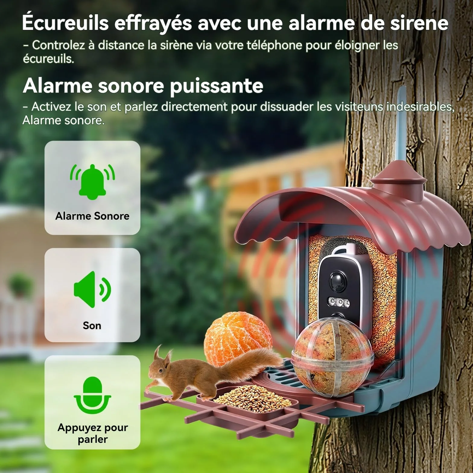 Nichoir à Oiseaux avec Caméra 4MP Solaire mangeoire Station d'alimentation Enregistrement vidéo Photo Identification IA Détection Mouvement Notification