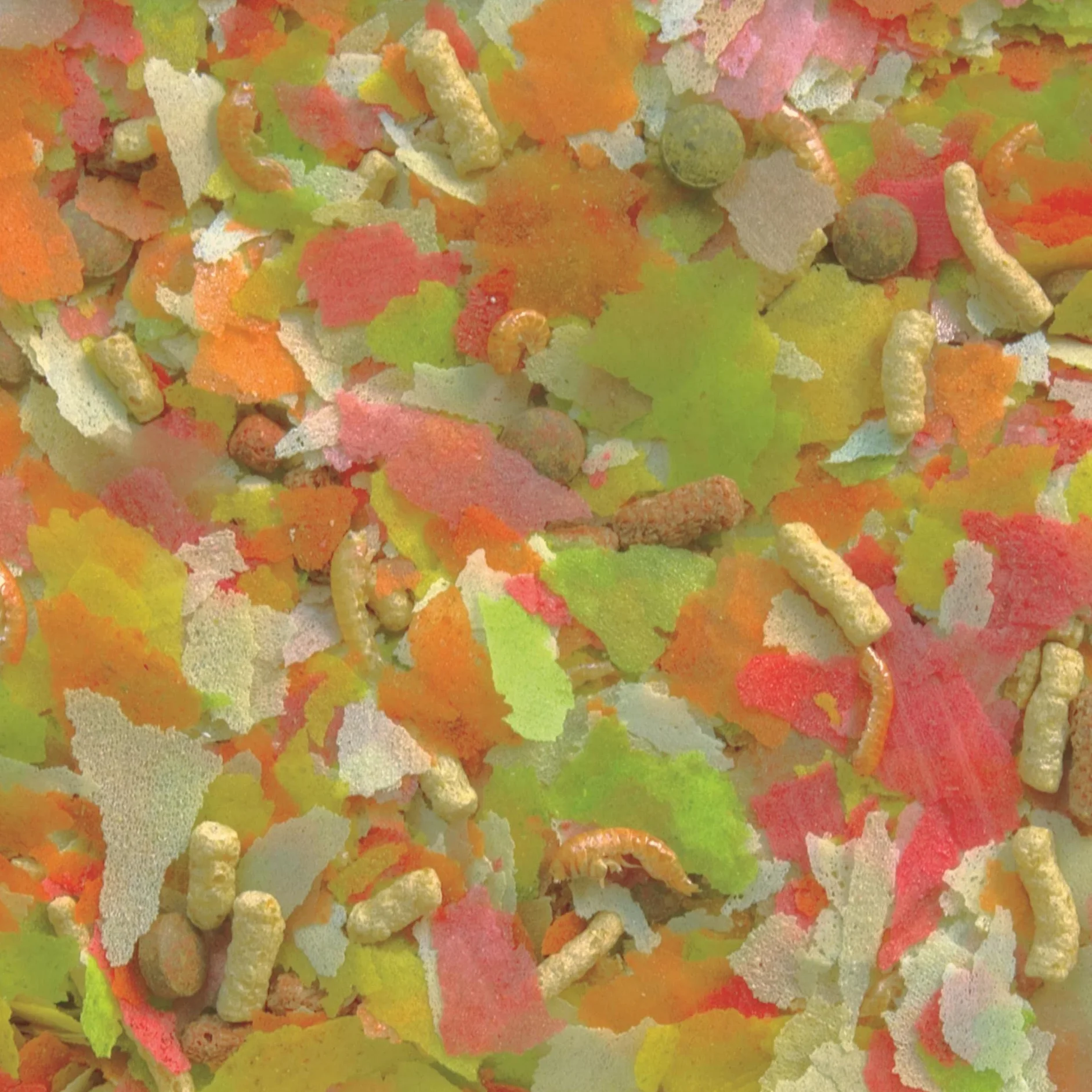 Pond Mix 5L 800g Aliment pour Koi et Poissons d'étang