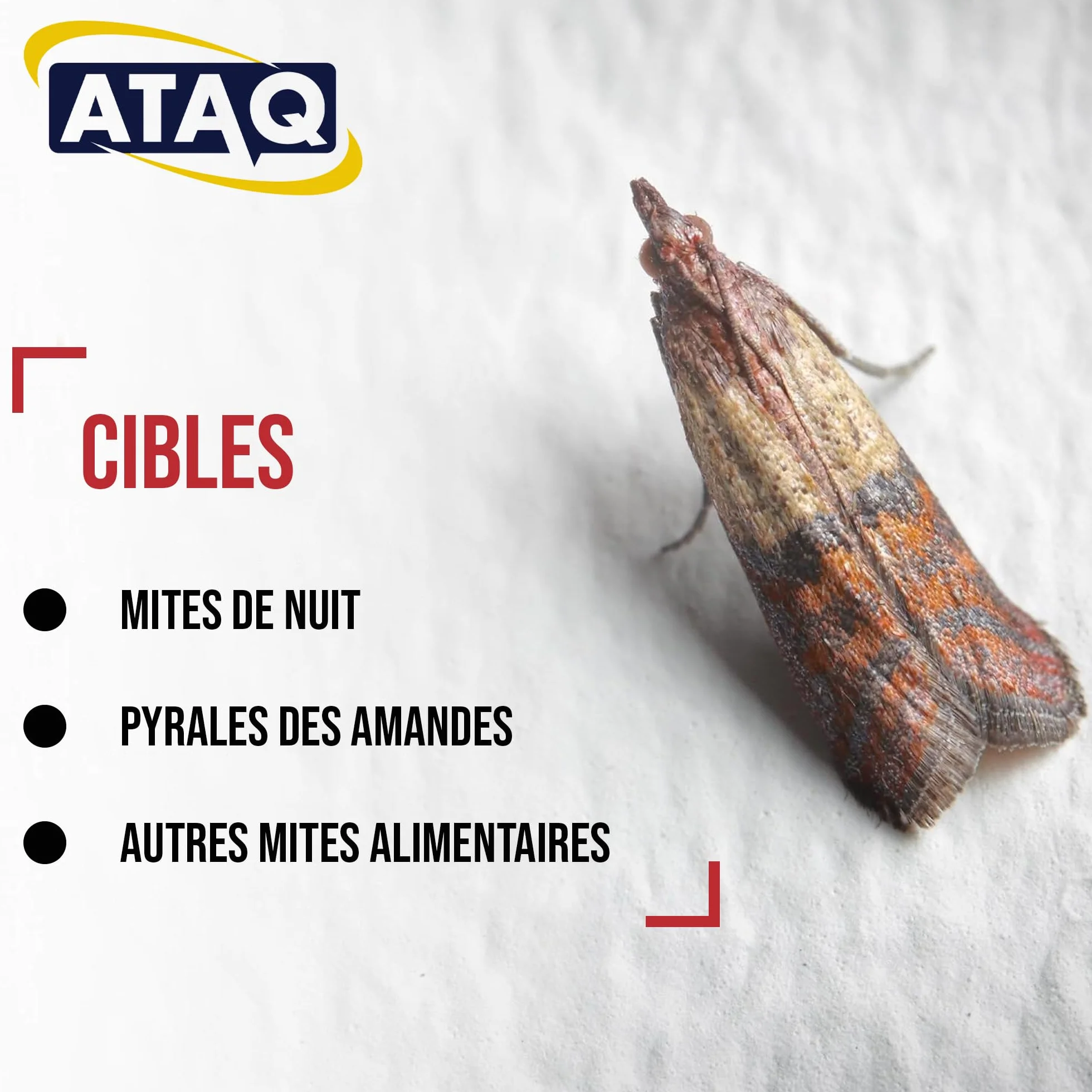 ATAQ Pack de 6 pièges à Mites Alimentaires Anti Mites Adhésif à Phéromones