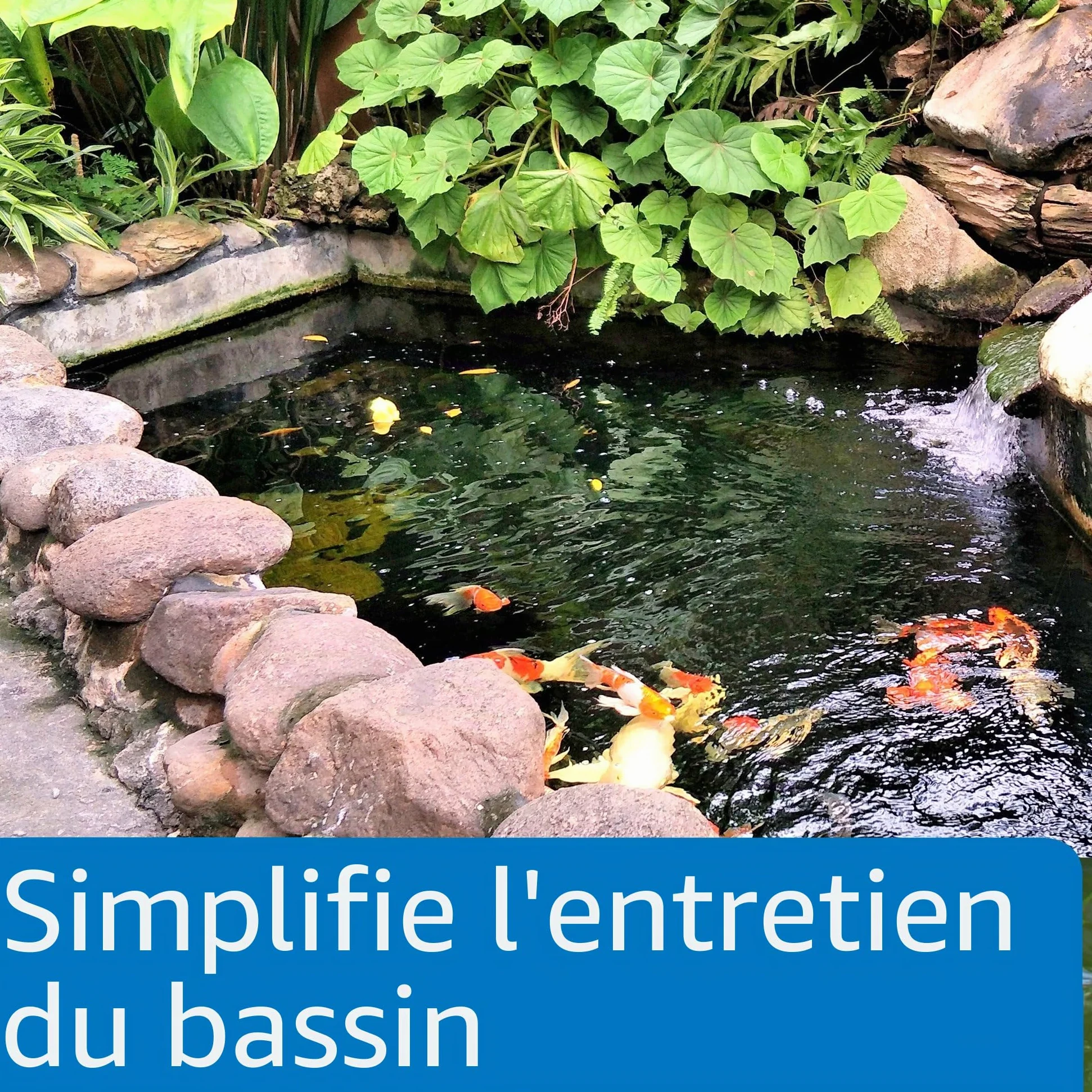 Api Ecofix Destructeur de Boue/clarificateur d'eau sans Danger pour Les Animaux domestiques 473 ML