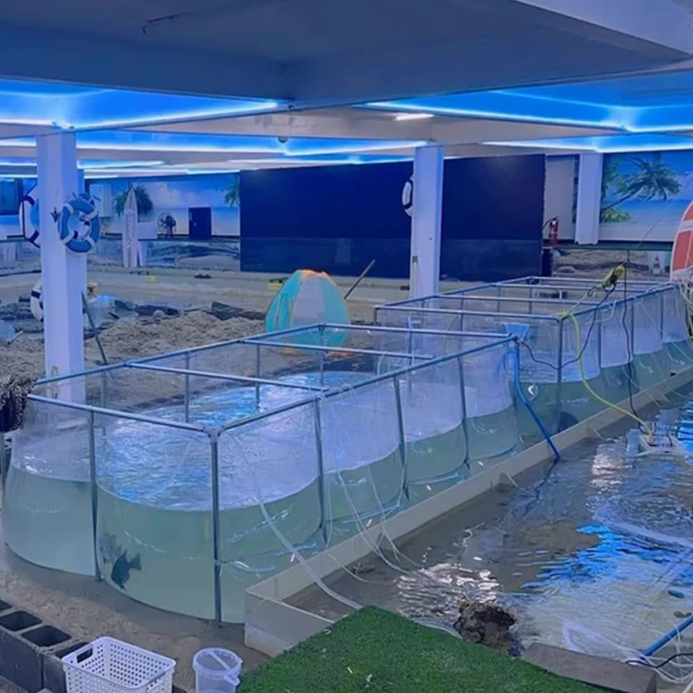 Bassin à koï en PVC robuste avec fenêtre transparente et vanne de vidange, aquarium à cadre en acier pour la pisciculture et l'aménagement paysager, montage facile, 50 x 50 x 40 cm, fontaine
