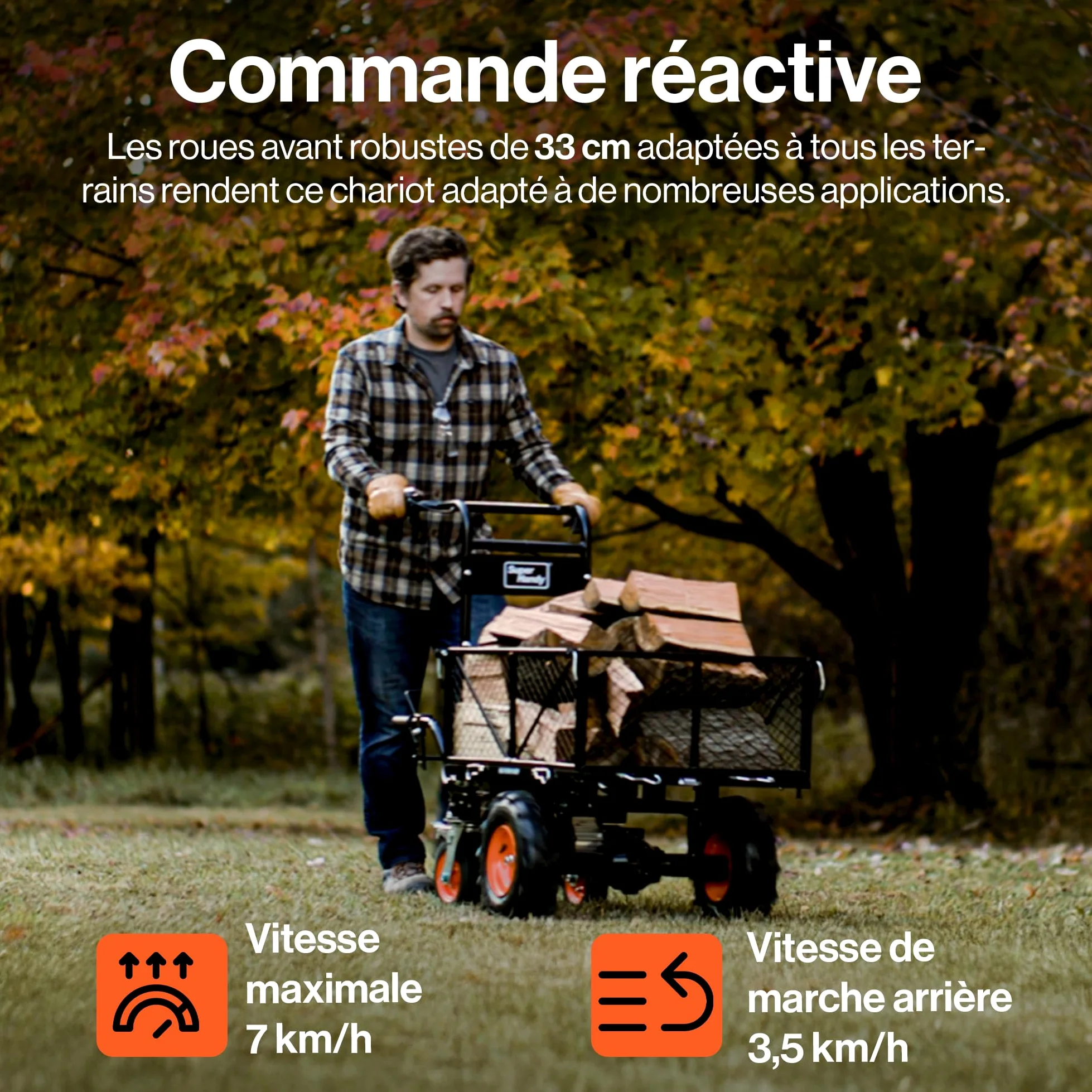 SuperHandy Chariot Utilitaire électrique, 48 V Li-ION, Charge 300 kg | Traction max. 460 kg; 2 batteries Li-ion amovibles incluses, idéal pour ferme, jardin et travaux de manutention