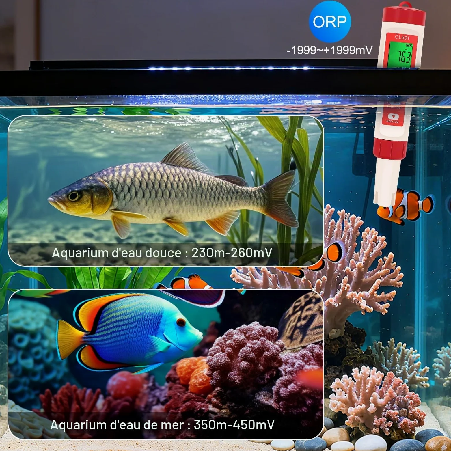 pH Chlore Mètre Piscine, Testeur pH Piscine Chlore Automatique 5 en 1 | Mesure pH, Chlore, ORP, H2 et Température, Testeur d'eau pour Piscines, Hydroponie, Aquariums et Eau Potable
