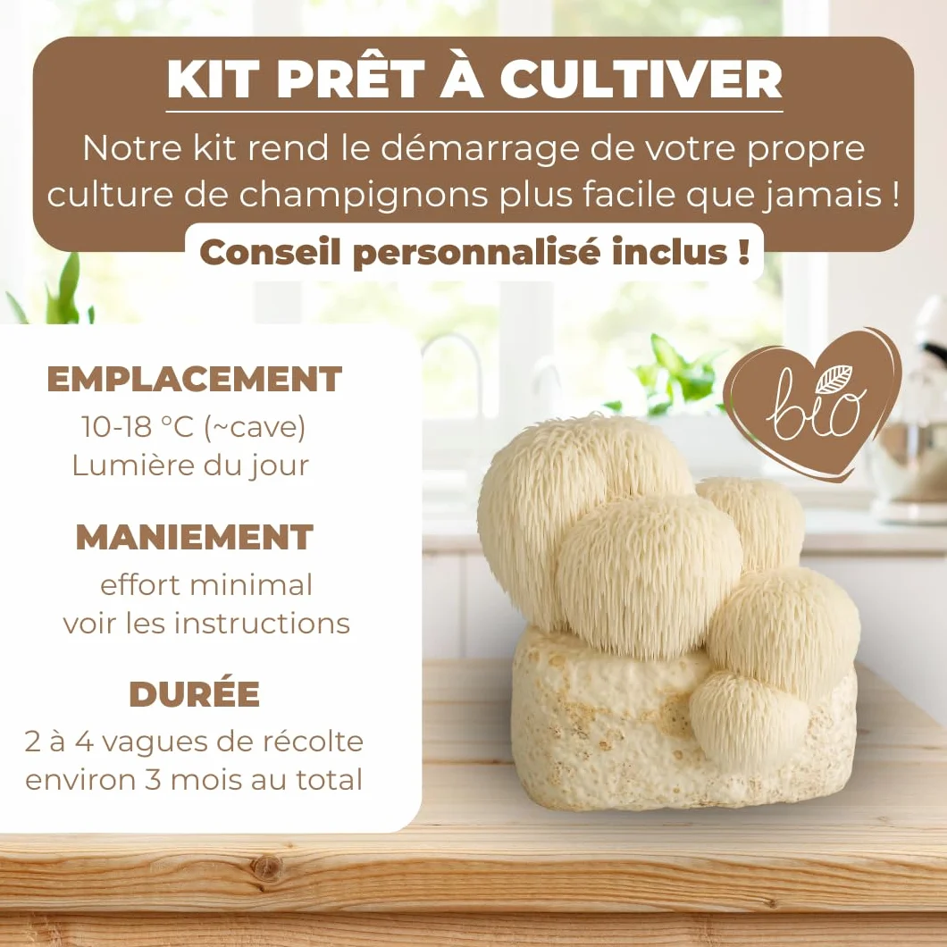 Hawlik Kit de culture de champignons Lions Mane Hericium erinaceus