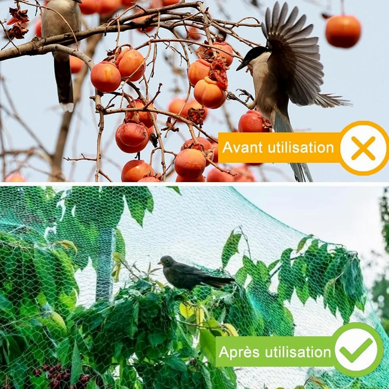 Filet Oiseaux Arbre Filets pour Jardin Protégez Arbres Fruitiers Protéger Les Plantes, Les Fleurs et Les Légumes,4x10m