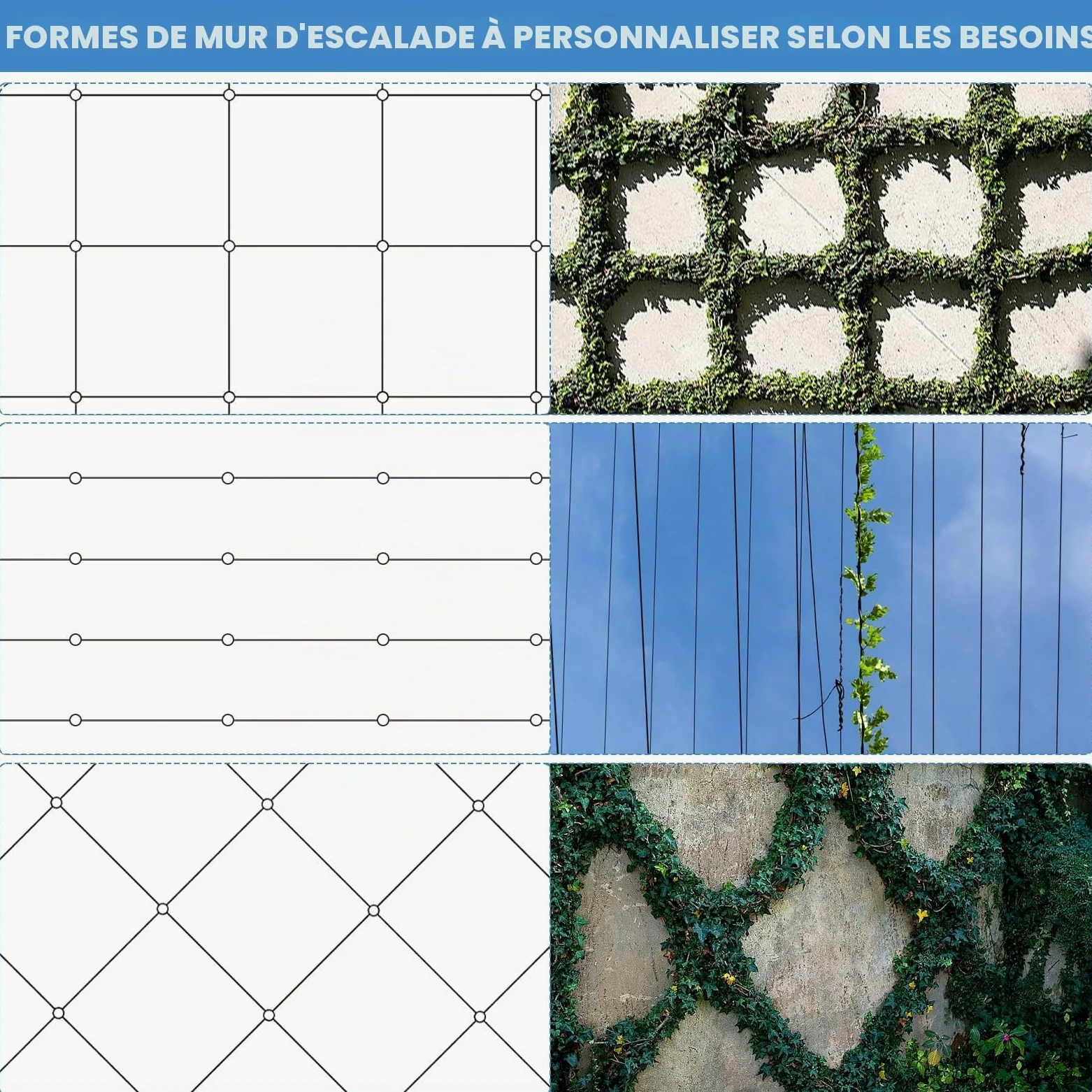 Support pour Plantes Grimpantes, 12m Kit Treillis Fil, 3 mm Corde en Acier Inoxydable Kit avec 8 Supports Muraux pour Vignes Fleurs Légumes
