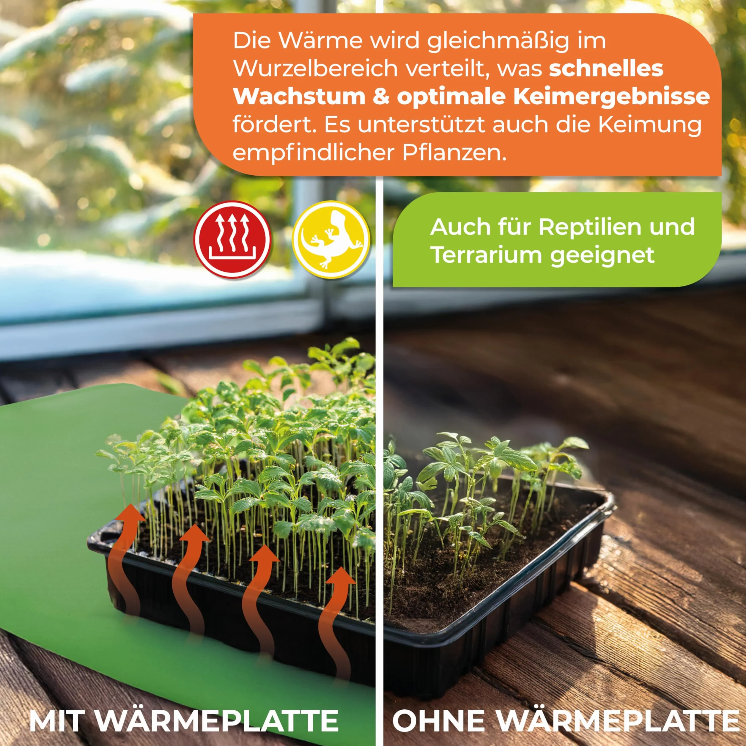Bio Green WP 030-060 Plaque Chauffante 0,30 x 0,60 m 32 W