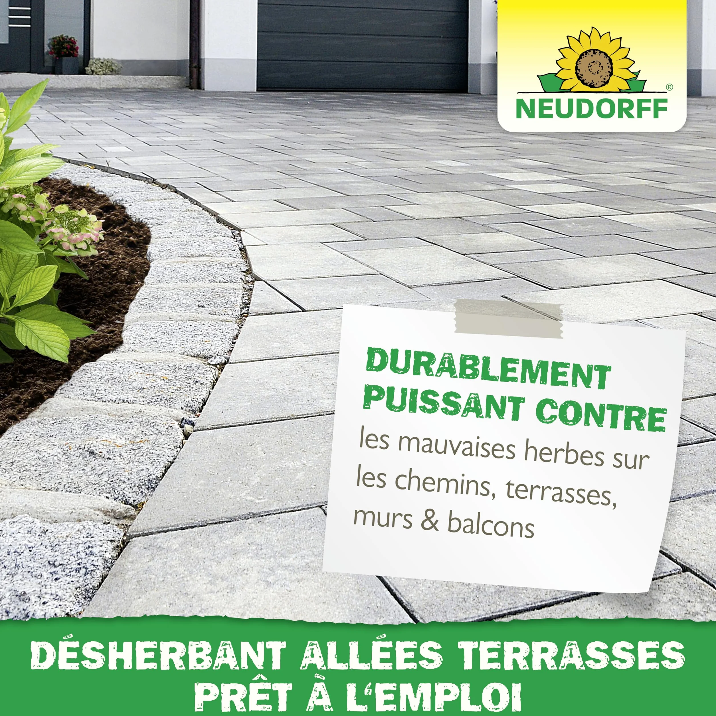 Neudorff Finalsan Désherbant Allées Terrasses 3 L Sans Glyphosate
