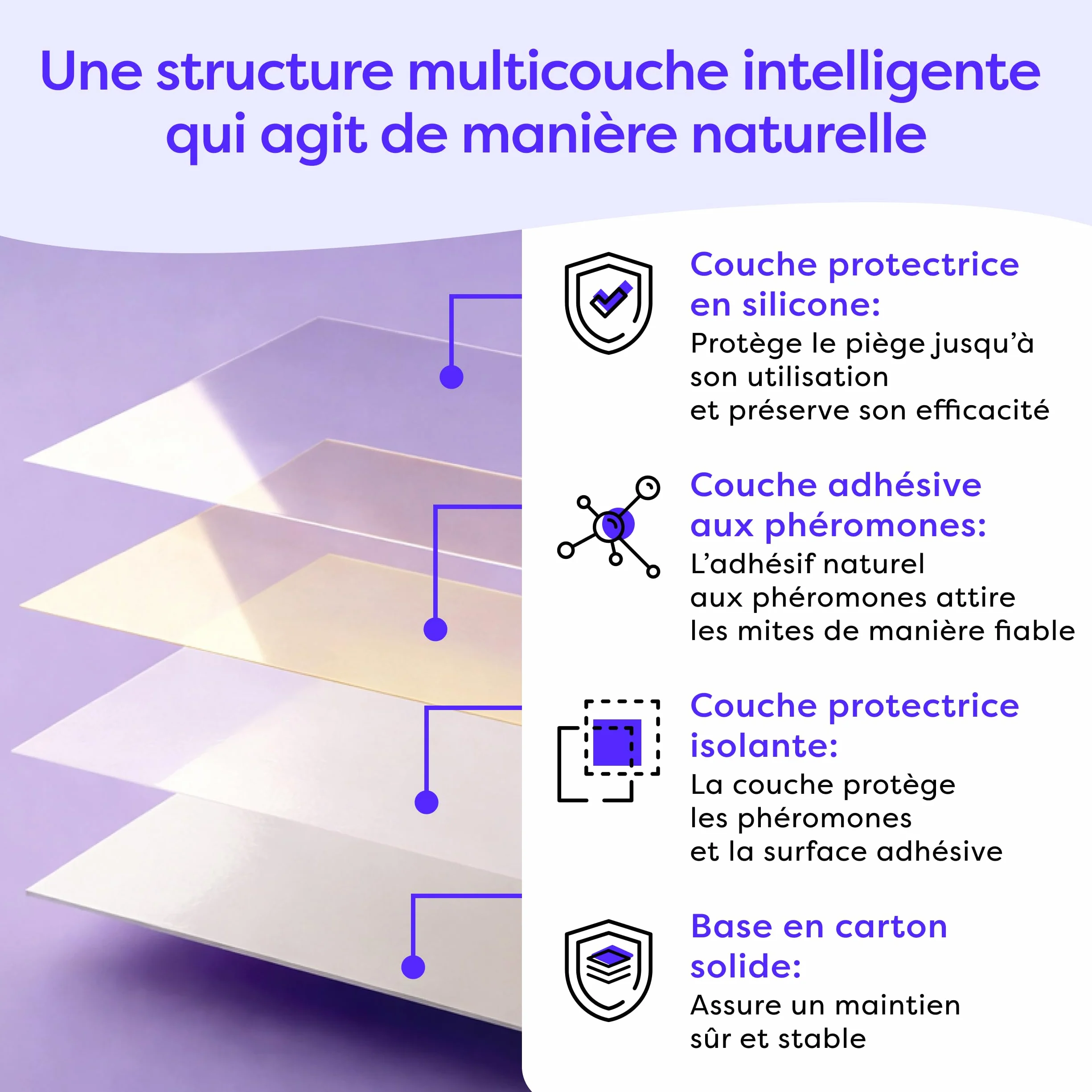 Wolkenfeld Anti Mites Textiles Piège à Mites Vêtements Adhésifs 8 Pièges Laine Cachemire 100% Naturel Fabriqué Allemagne