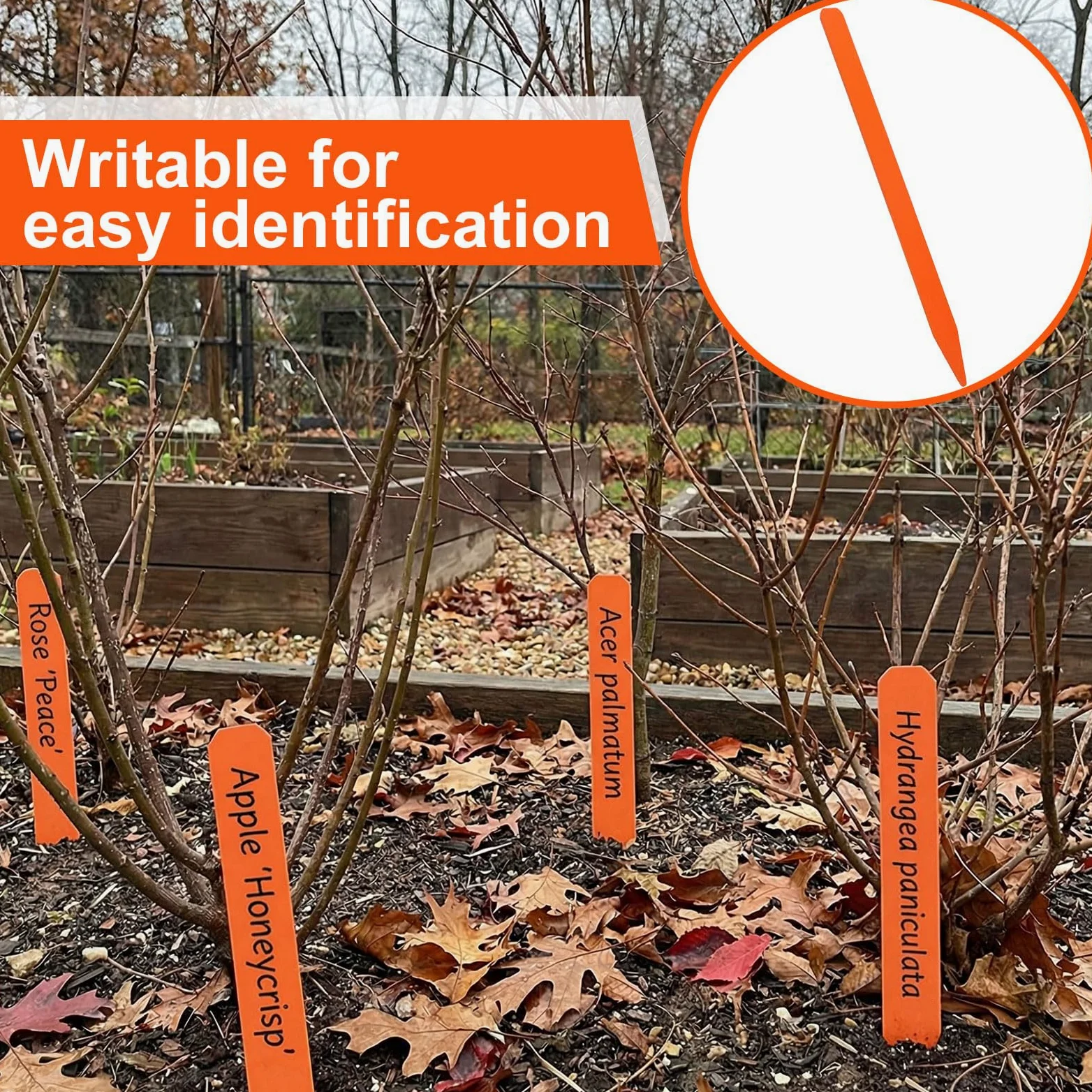 Weysat Lot de 100 étiquettes en bois de 30,5 cm pour plantes de champ ou conteneurs, étiquettes de jardin en bois pour semis, marqueurs, graines de pépinière, étiquettes avec surface lisse pour pots