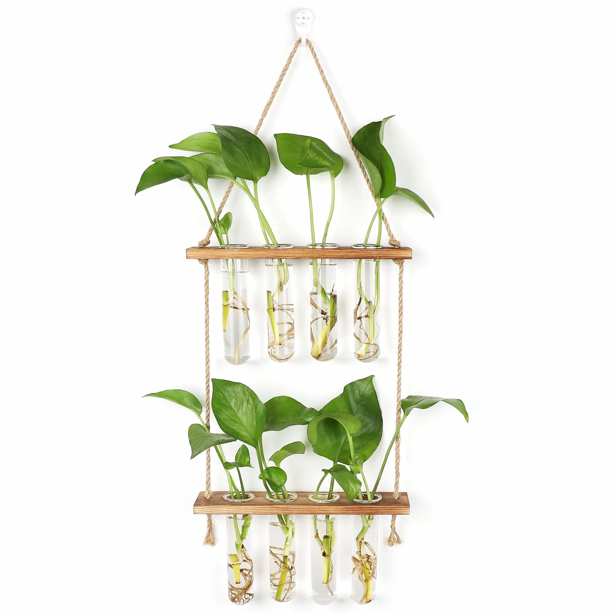Hyindoor Station de Propagation avec Support en Bois Vase Mural 8 Tubes à Essai en Verre pour Plantes Hydroponiques