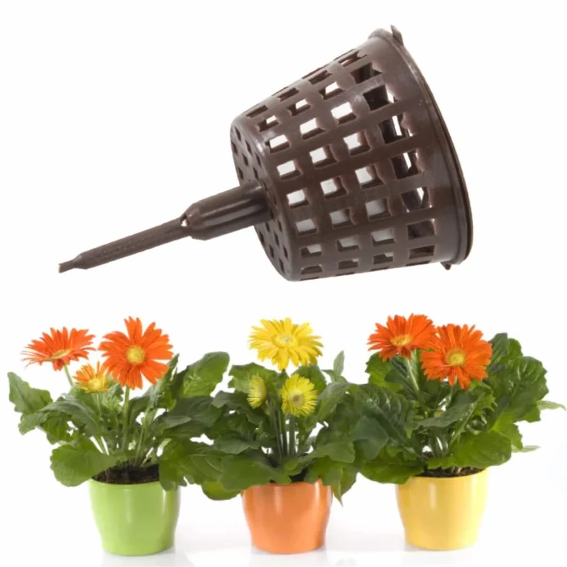 Boîte d'engrais en plastique 100pcs pour bonsaï avec couvercle outil de jardinage