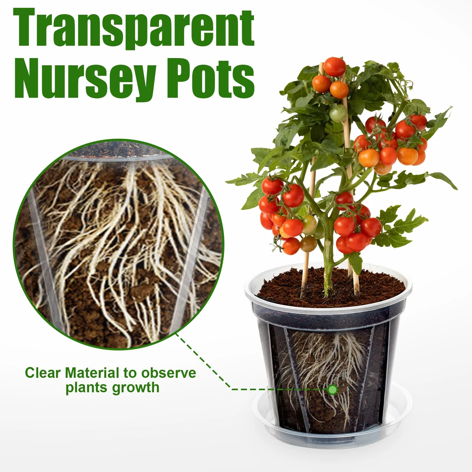 Pots Transparents avec Trou de Drainage, 10-16 cm, Renforcés avec Soucoupe, Pack Variété Plastique pour Semis