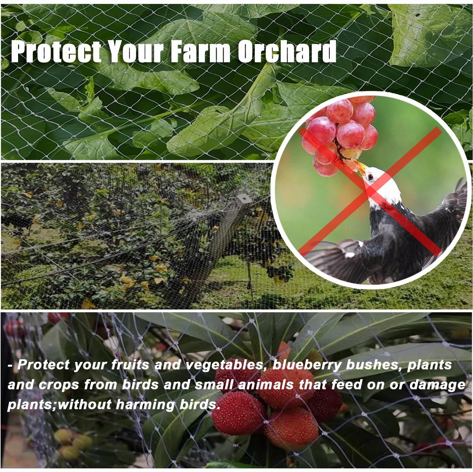 Filet Anti-Oiseaux en Nylon résistant aux UV pour Jardin et Arbres fruitiers - Réutilisable 10 m x 6 m, Maille de 2 cm de diamètre - Protection Efficace Contre Les Oiseaux et Les Insectes Nu