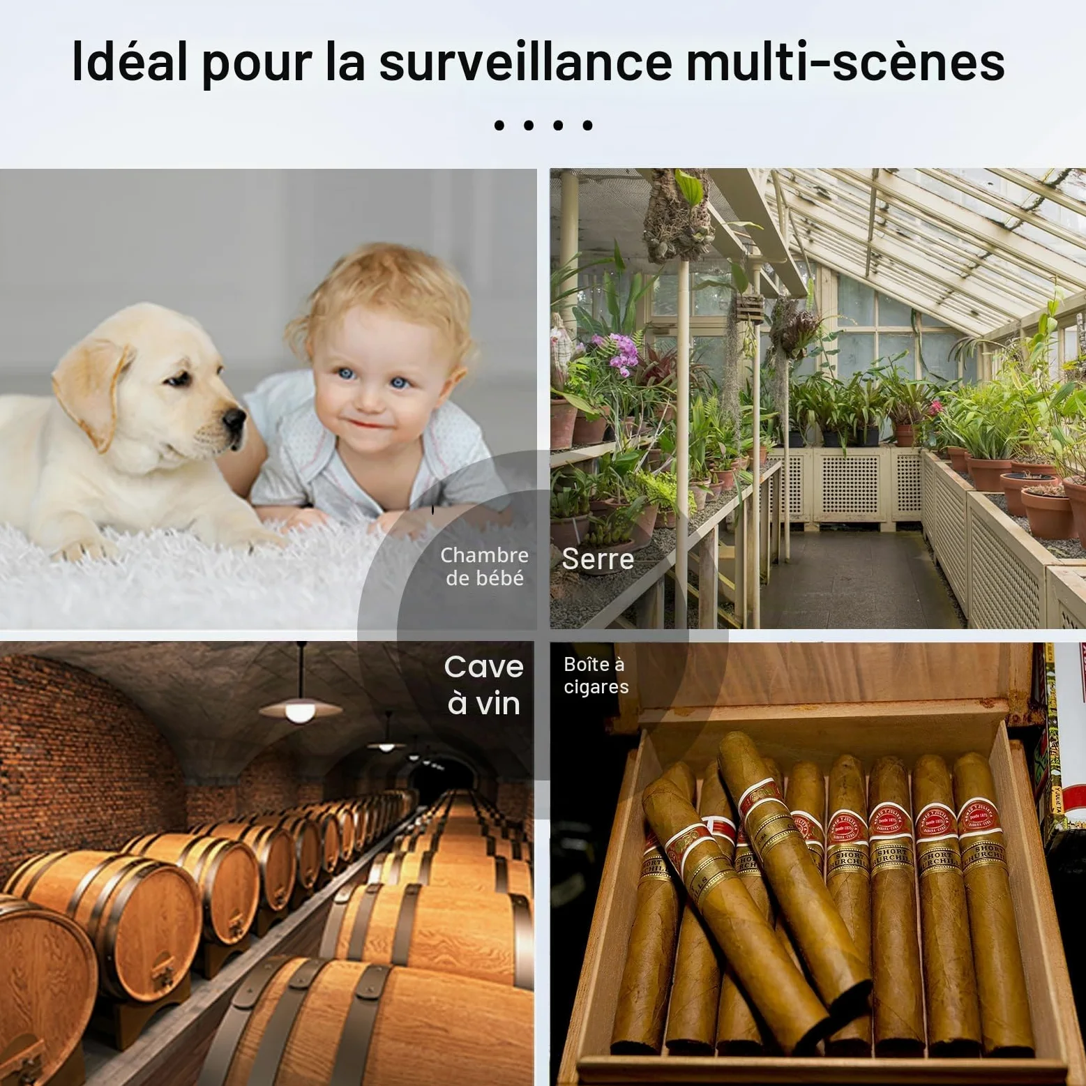 Thermomètre hygromètre WiFi Intelligent, capteur de température et d’humidité intérieur/extérieur Bluetooth, Application thermomètre WiFi Alexa/Google Assistant à Distance pour la Maison. 4 Pack