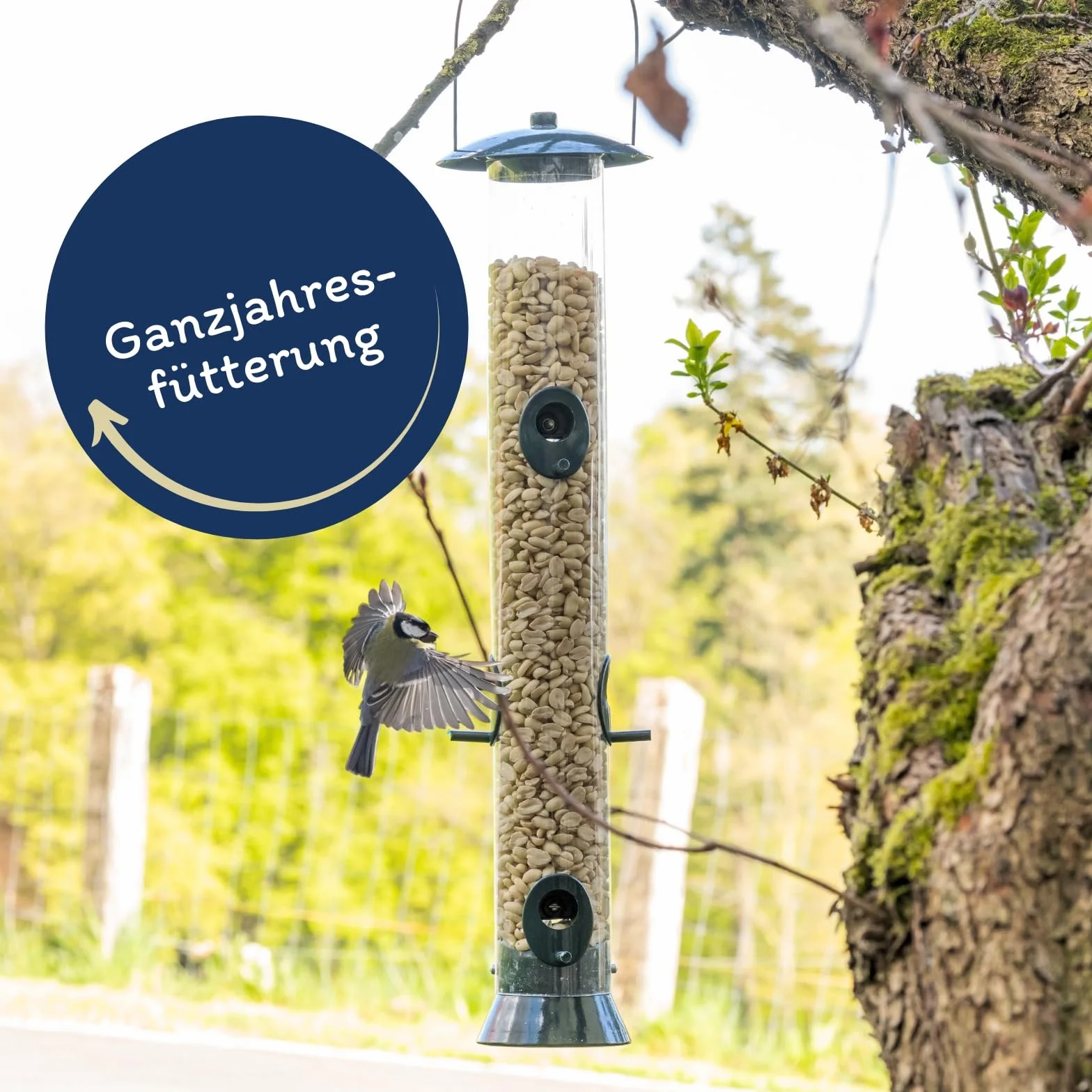 Graines de cacahuètes Demi-blanchies 25 kg Nourriture pour Oiseaux Sauvages sans Coque Source d'énergie