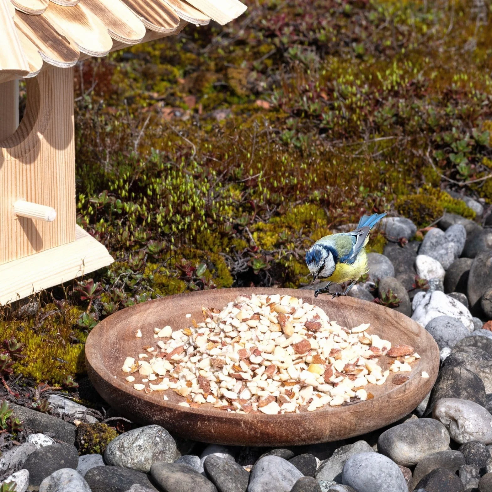 Lyra Pet® cacahuètes hachées avec peau 20 kg nourriture pour oiseaux sauvages