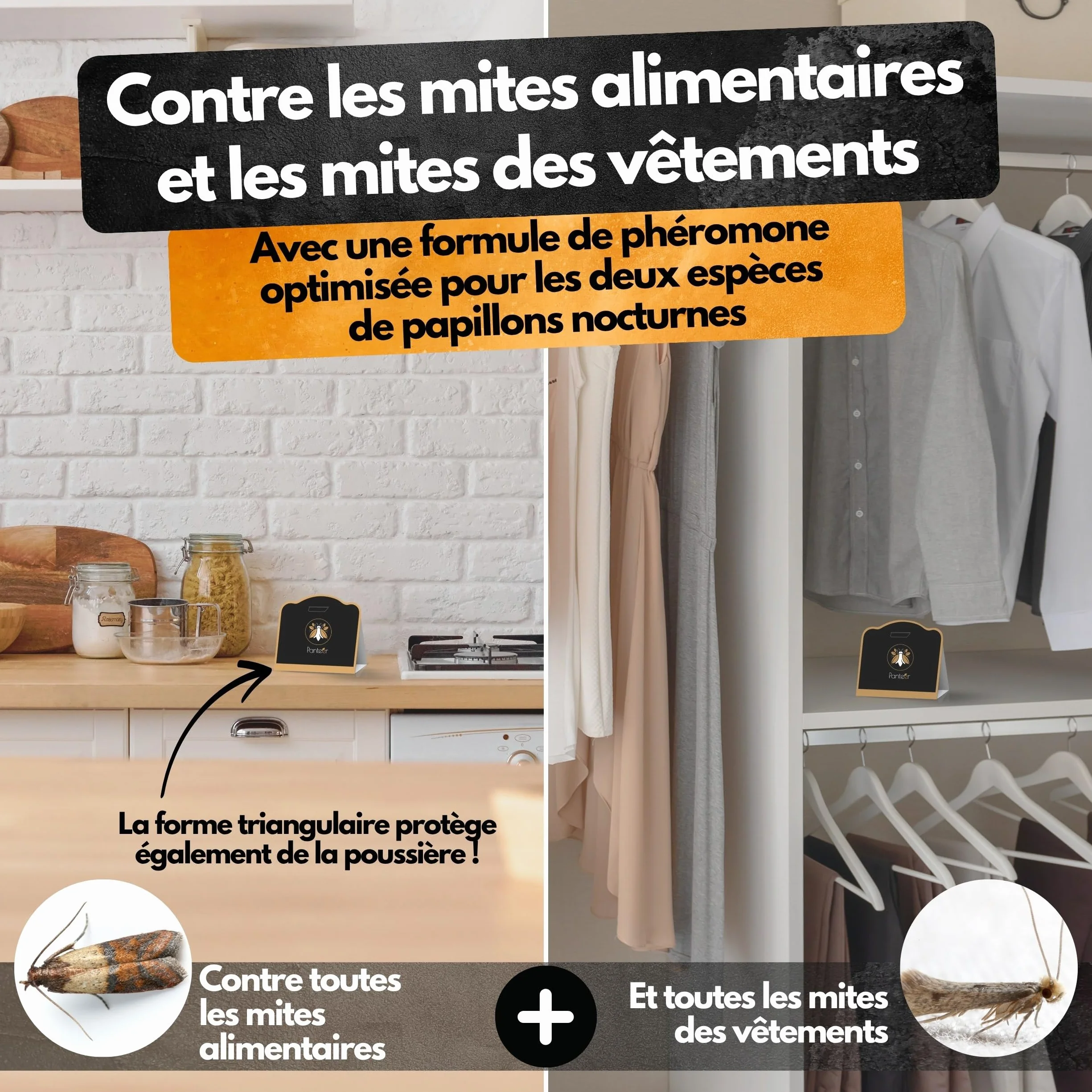 Panteer Lot de 6 pièges à Mites Contre 2 Types de Mites pour Garde-Robe et Alimentaires