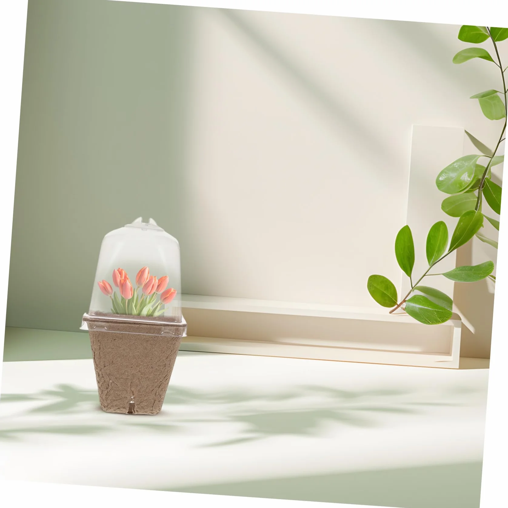 iplusmile Pots de Semis Carrés avec Dôme Ventilé en Pâte de Papier Lot de 36