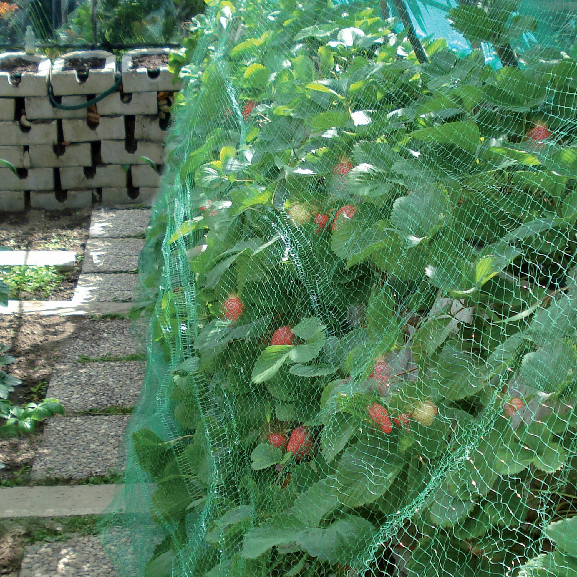 TENAX ORTOFLEX 2,00x5 m Vert Filet Anti-Oiseaux pour Protéger les Fruits et Cultures