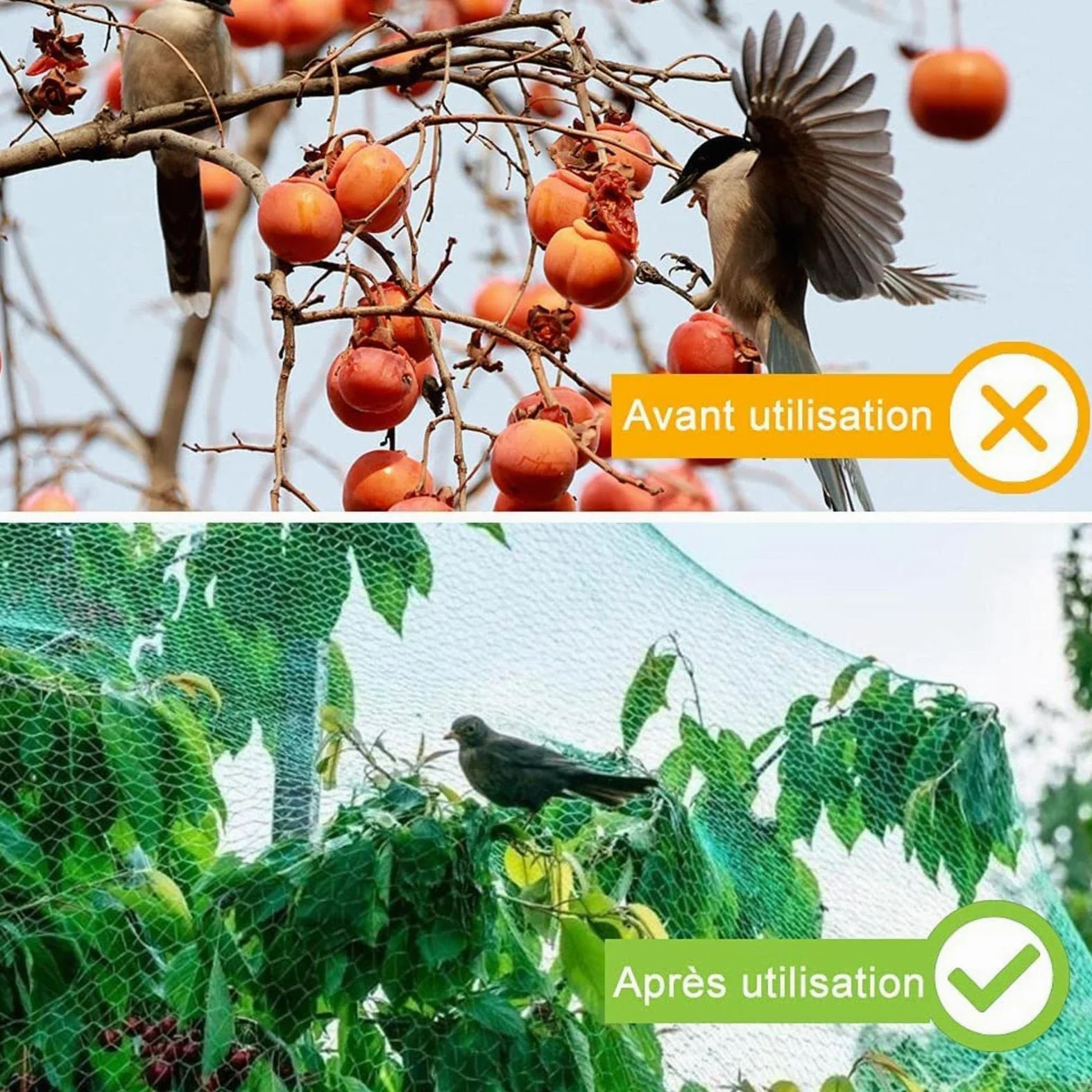 Filet Anti Oiseaux pour Potager Protection Anti Oiseaux et Animaux Idéal pour Prévenir Les Oiseaux et Les Gros Insectes,4x10m
