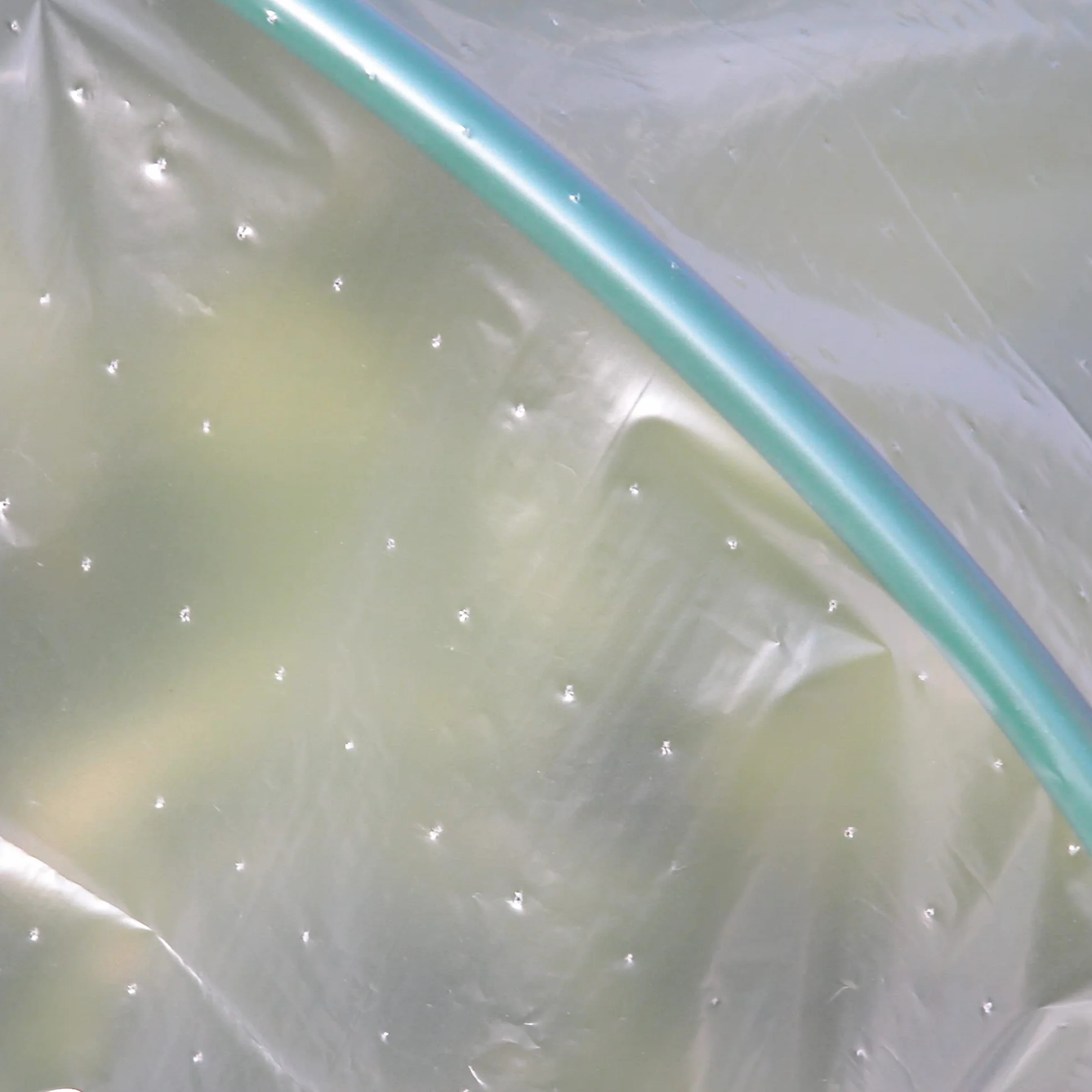 TENAX Dot Film 2,00x10 m Film de Forçage Micro-perforé Transparent Protection Cultures Légumes Plantes Jardin