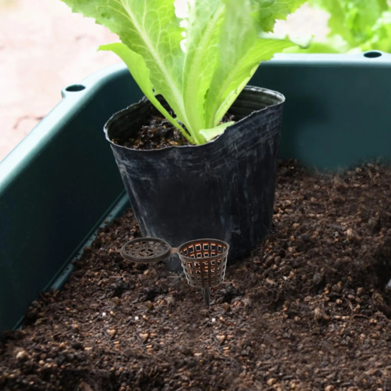 Boîte à Engrais Plastique pour Plantes Bonsai 20 Pièces Couleur Café avec Couvercle