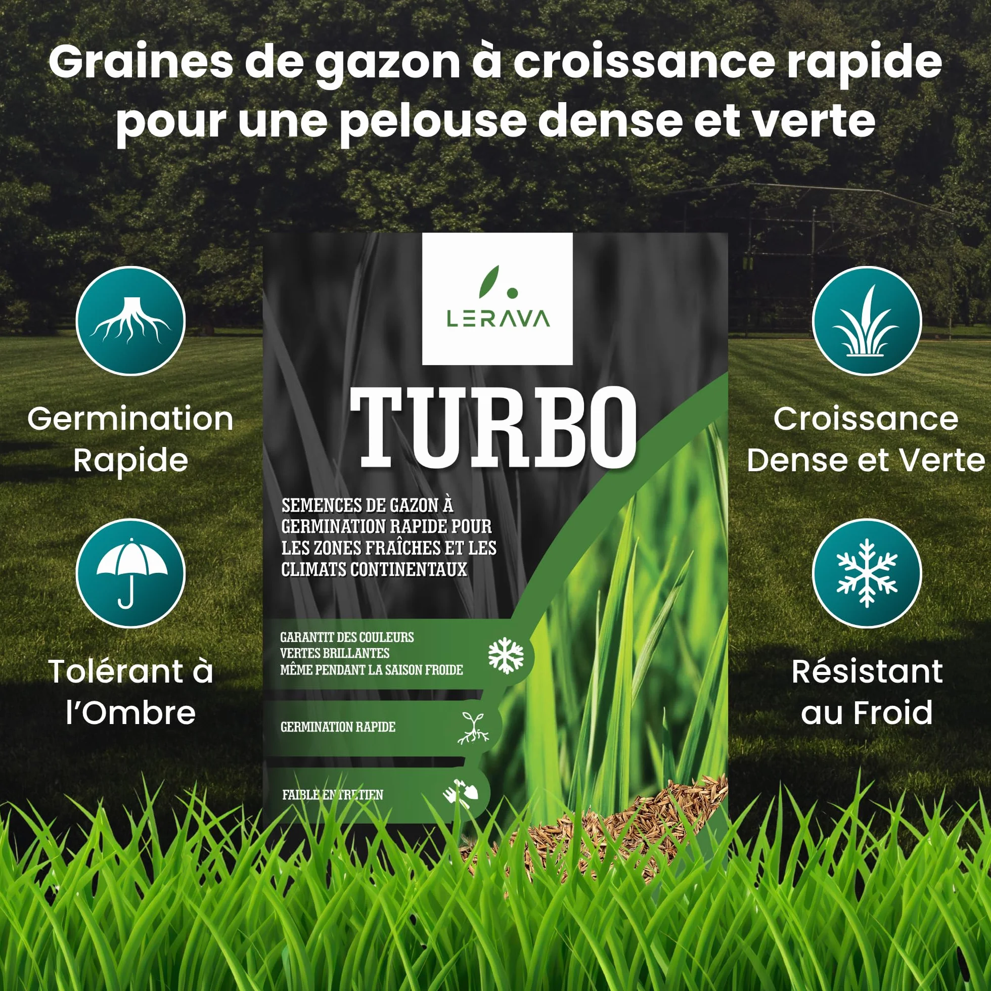 LERAVA Turbo gazon à semer pousse rapide 10m² pelouse ombre zones fraîches 98% pureté rustique vert vif semence résistante