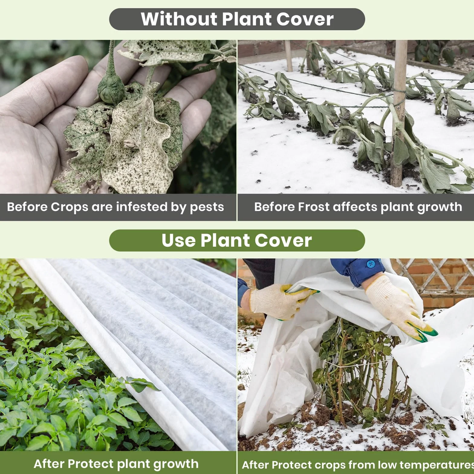 Voile Hivernage Plante Exterieur 1.6x10m Tissu Non tissé 30 g/m² Housse Protection Blanche