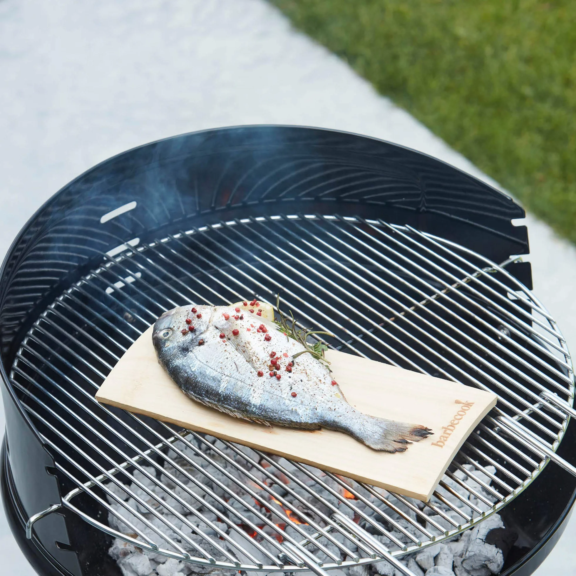 Barbecook Planche de Fumage Aulne
