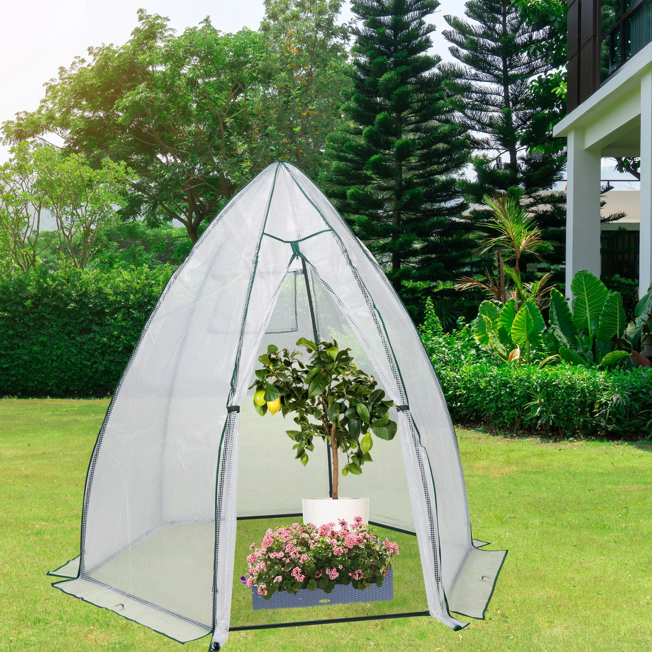 Relaxdays Serre d'hivernage, HLP : 185x180x160 cm, Protection hivernale pour Plantes, avec Porte et fenêtre, Transparent
