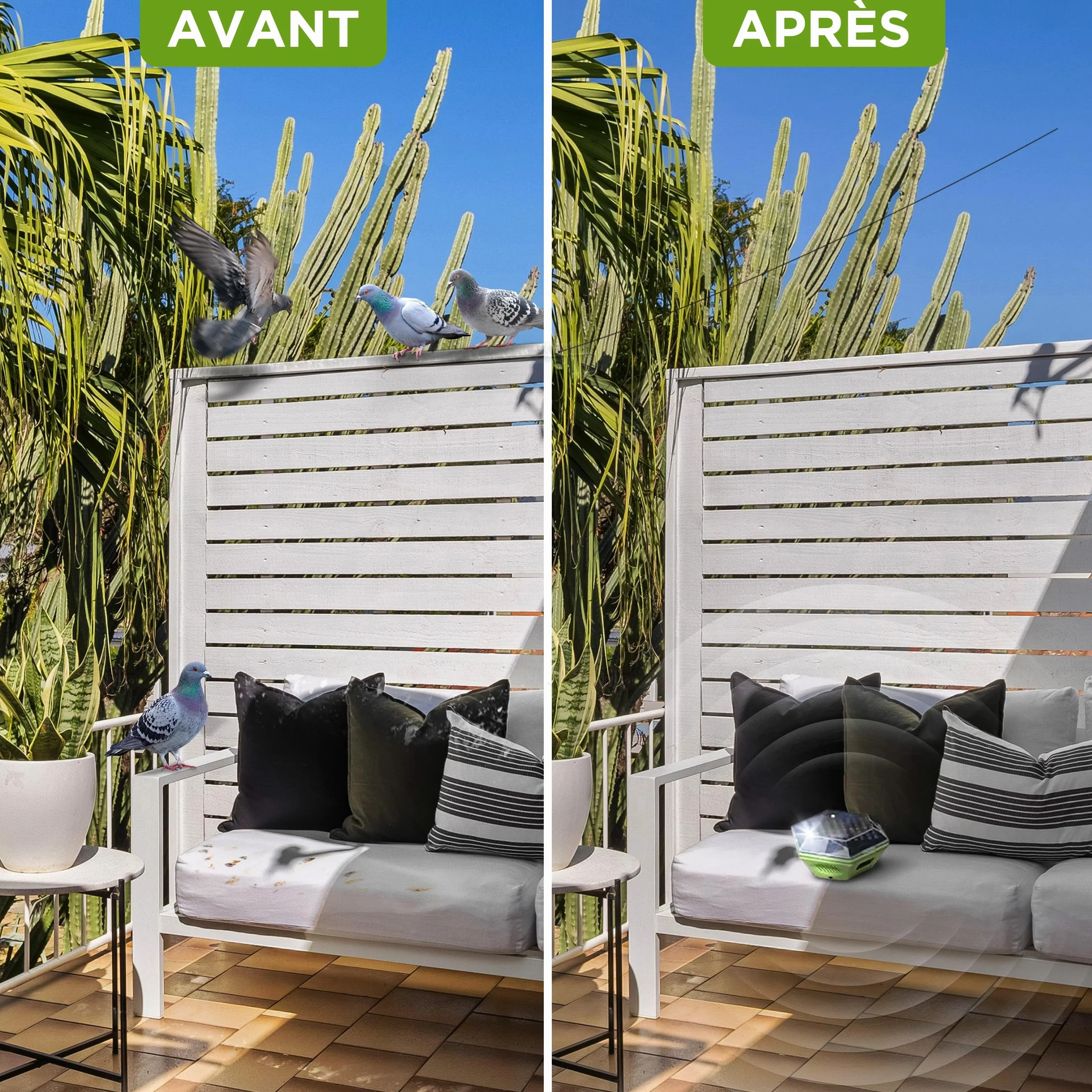 ISOTRONIC Répulsif Solaire Flash et ultrasons – Éloigne Pigeons et Oiseaux – Portée 150 m² – 1 unité