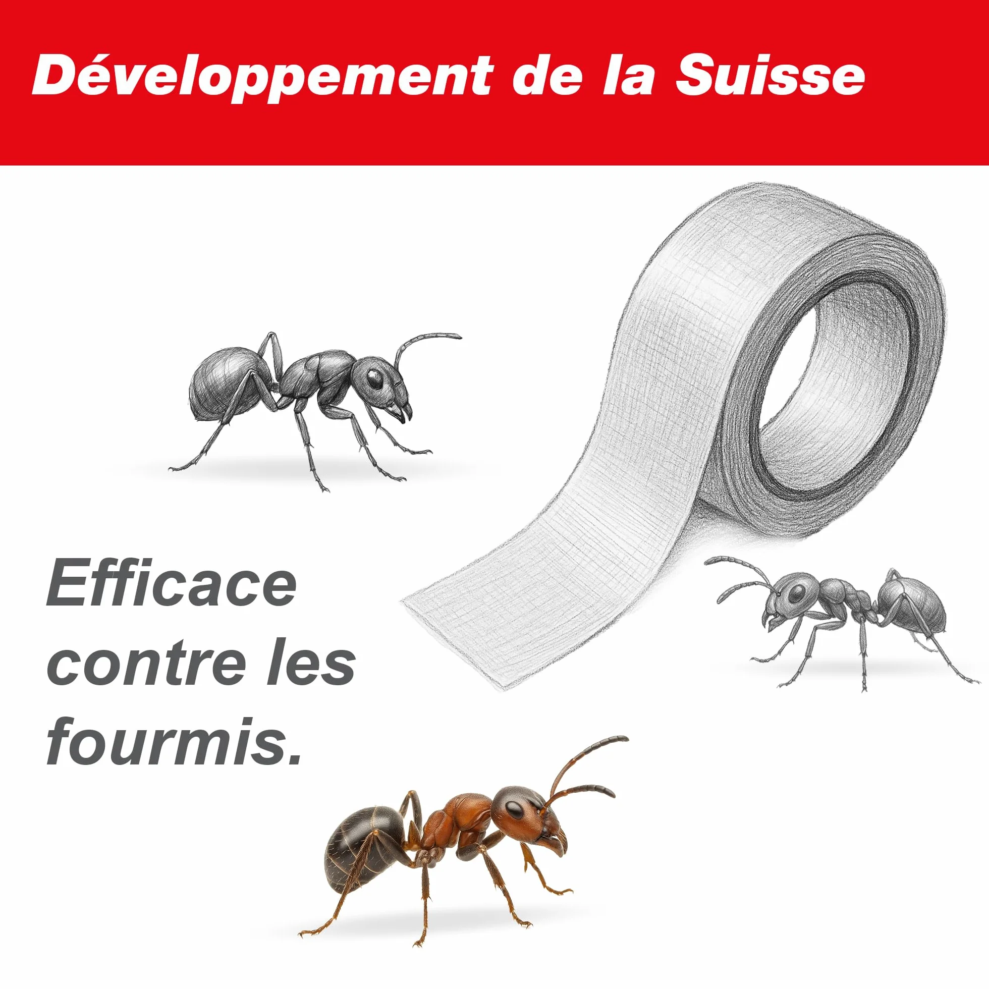 SWISSINNO Ruban adhésif Anti-Fourmis pour Insectes rampants 5 cm x 5 m Protection des Arbres