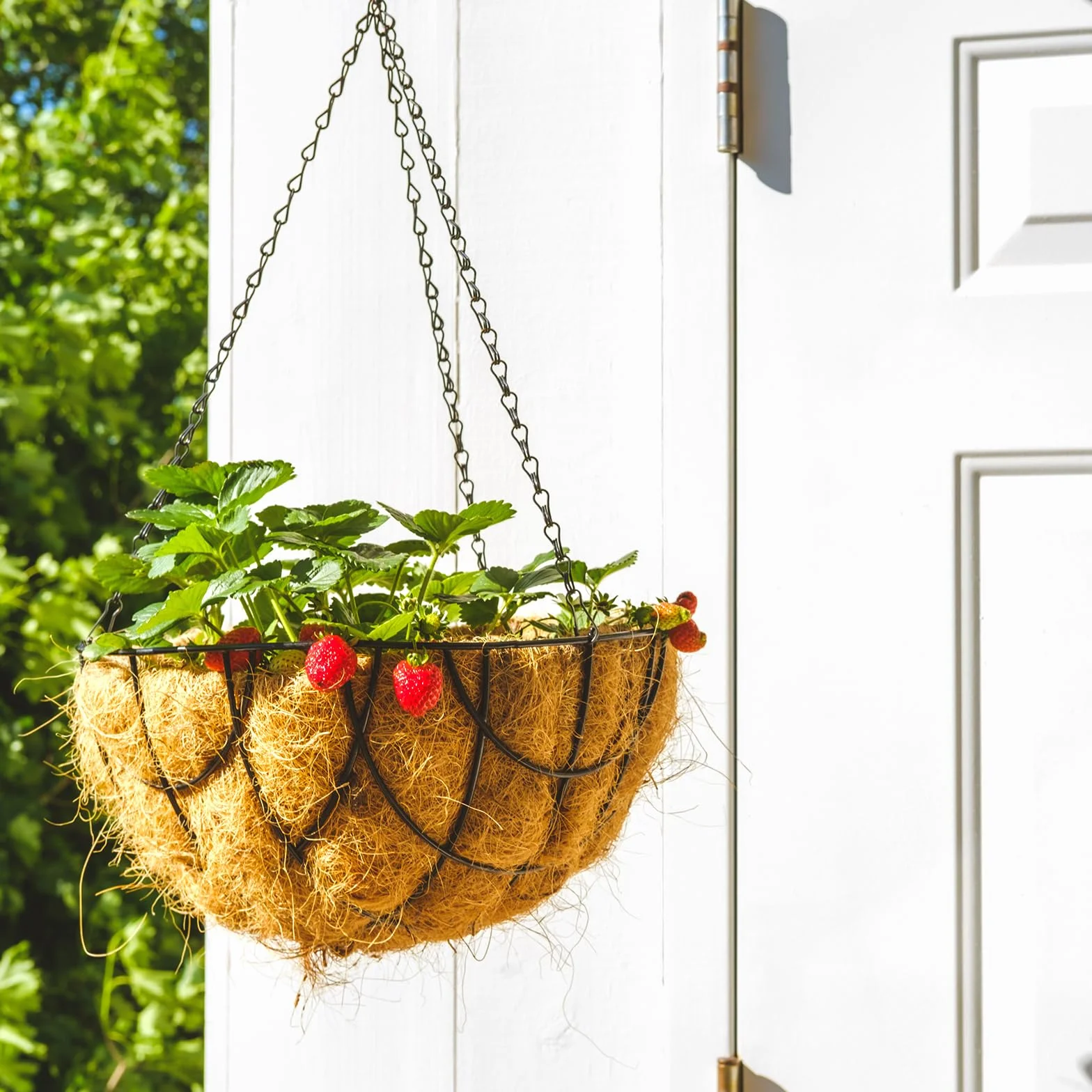 Bewudy Lot de 4 chaînes de panier suspendu 33 cm avec crochets pour mangeoires à oiseaux, jardinières
