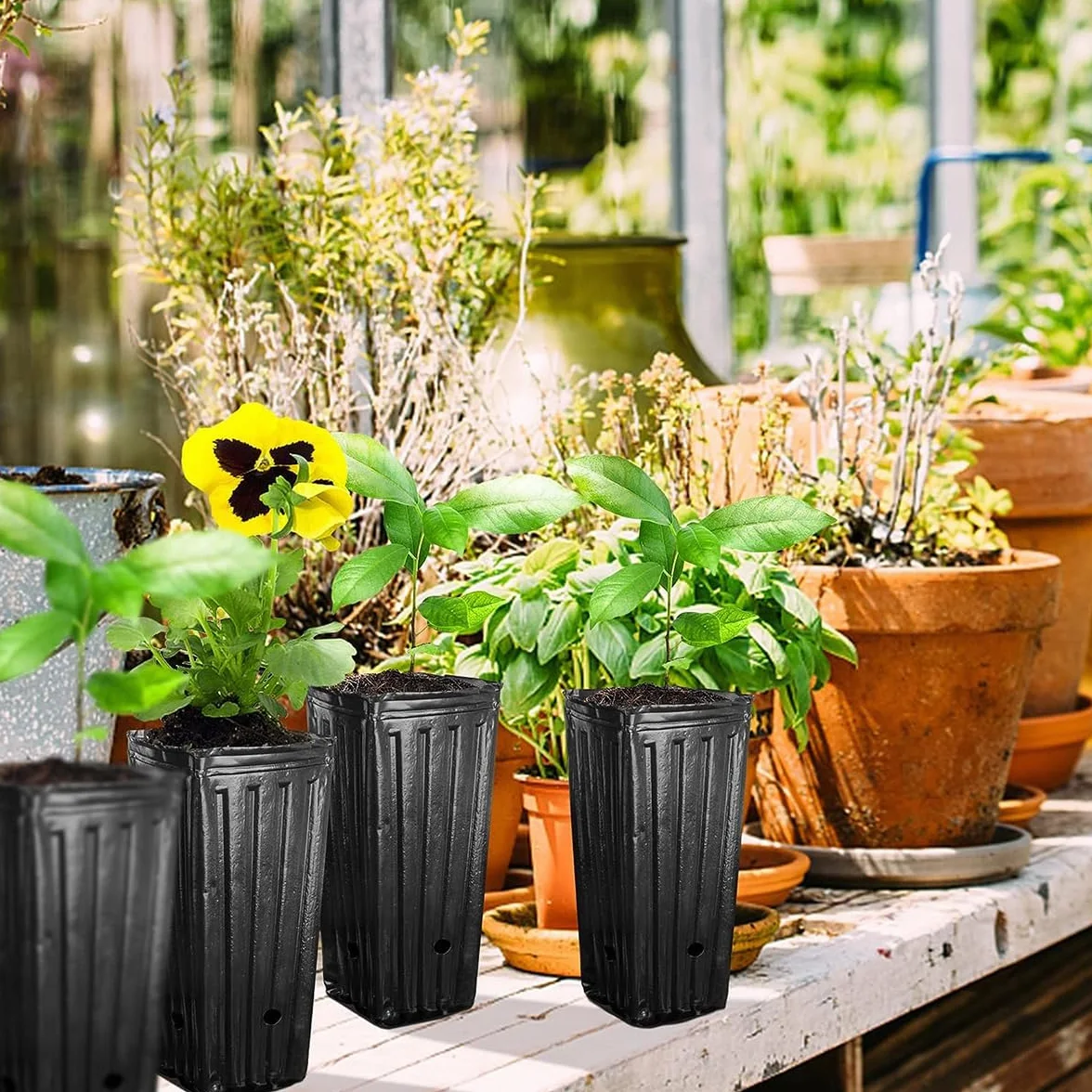 Pots d'arbres profonds en plastique 25 cm Noir Lot de 50 pour pépinière