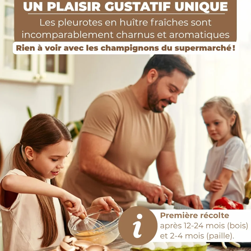 Hawlik Pilzbrut - Cheville Pleurotes en huître pour cultiver soi-même - 20 cheville avec mycélium de champignon