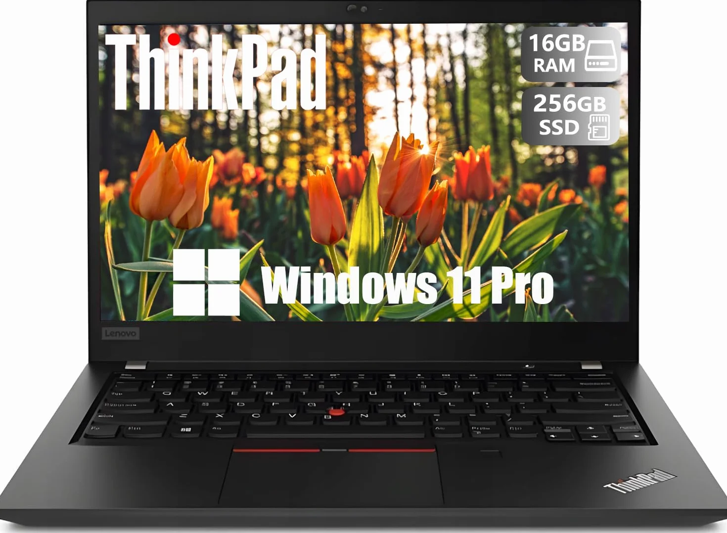 Lenovo ThinkPad T490 Ordinateur Portable 14 Pouces FHD Intel Core i5-8365U 16 Go RAM SSD 256 Go Windows 11 Pro Reconditionné