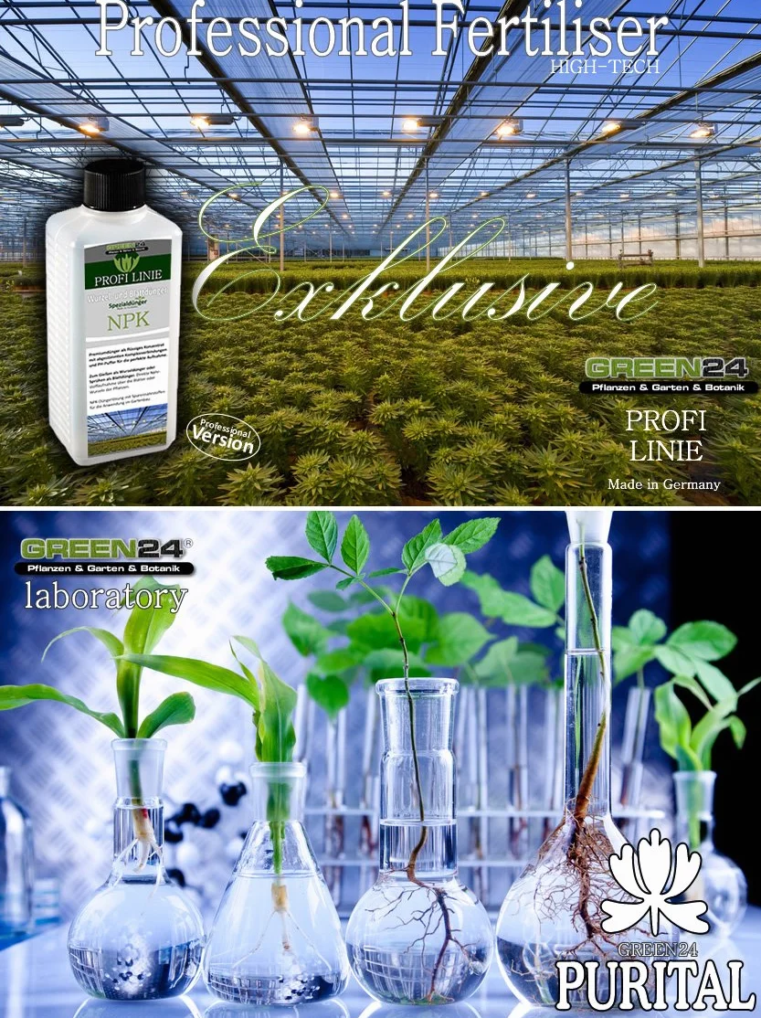 Engrais liquide pour érable du Japon - Nutriment haute technologie pour sol et feuillage
