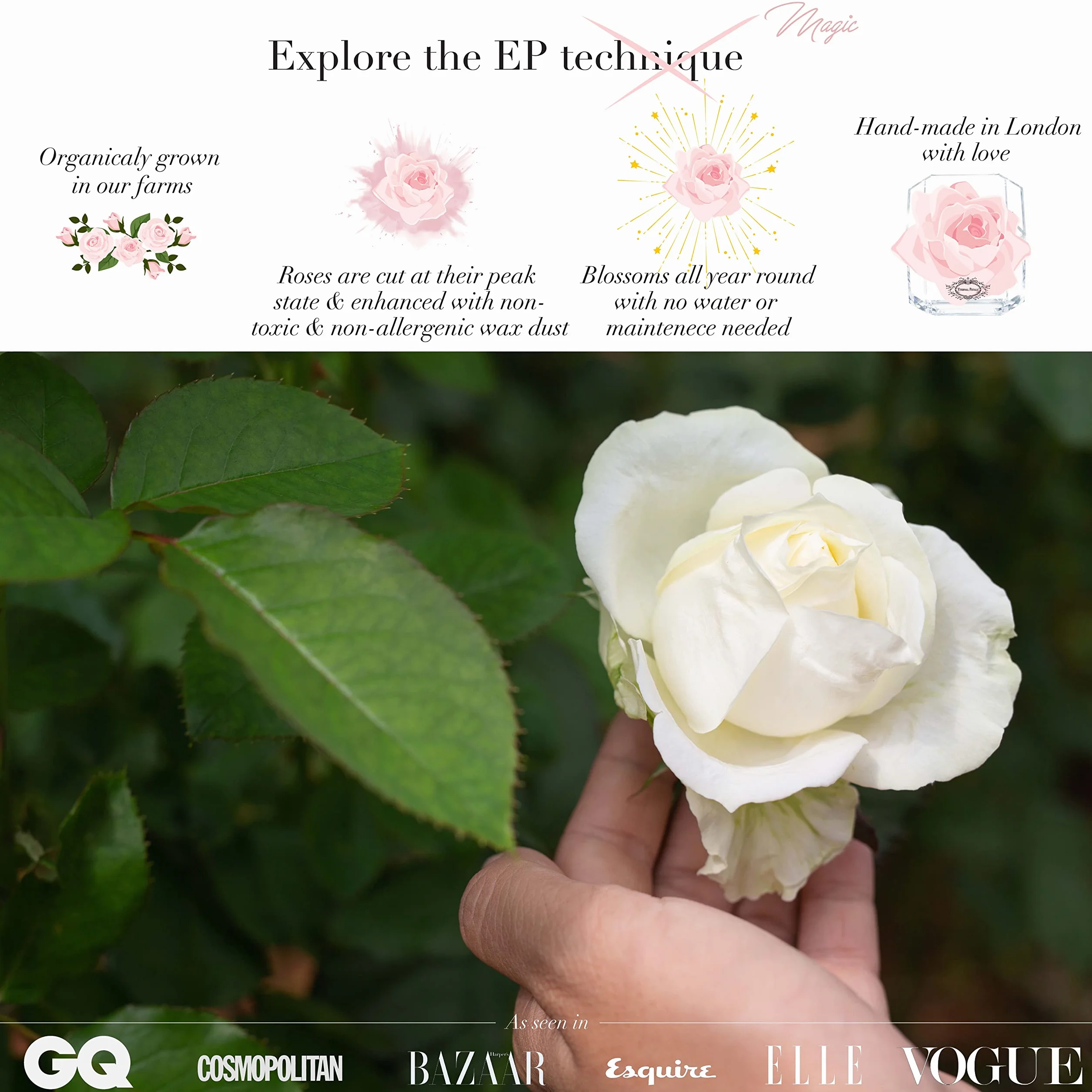 Eternal Petals White Gold Solo Rose with Multicolor Swarovski Crystal Black