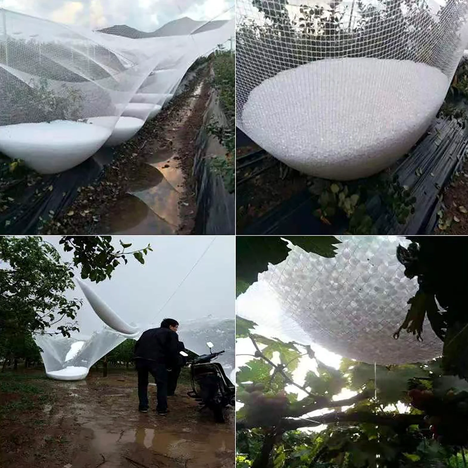 Filet Anti-Grêle pour Potager, Filet de Prévention Grêle pour Recadrer, Filet Anti Oiseaux pour Plates-Bandes Surélevées, Légumes, Fruits et Fleurs(4M x 5 M)
