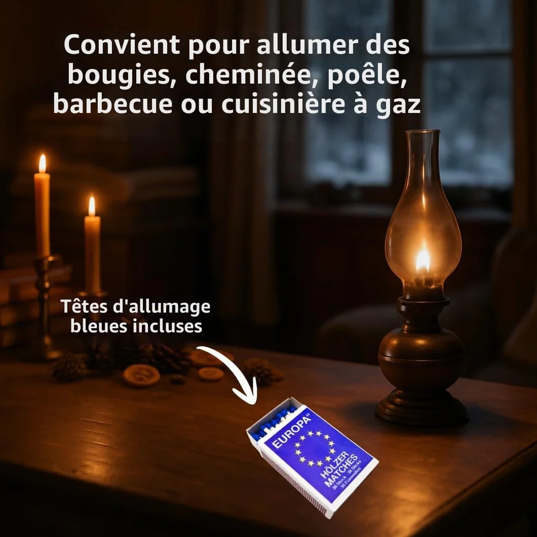 Allumettes EUROPA 100 boîtes, 10 x 10, bois d'europe, allumettes de sécurité