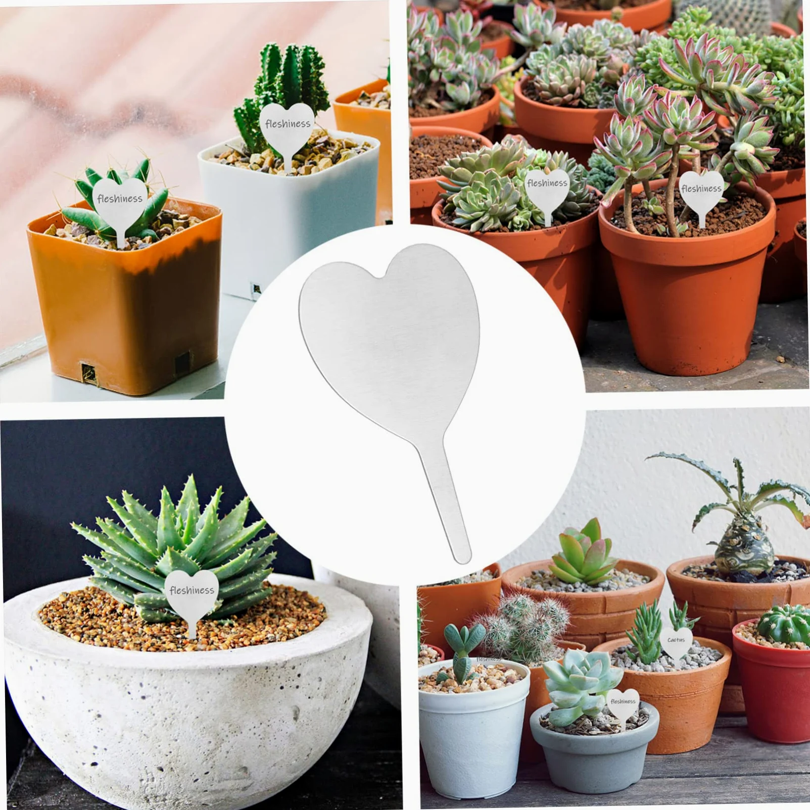 ibasenice 2 Ensembles Étiquettes Métalliques Végétales Balises De Pieu Planche Étiquettes D'identification De Plantes Étiquette De Plante De Tableau Silver Acier Inoxydable 50 Pièces * 2