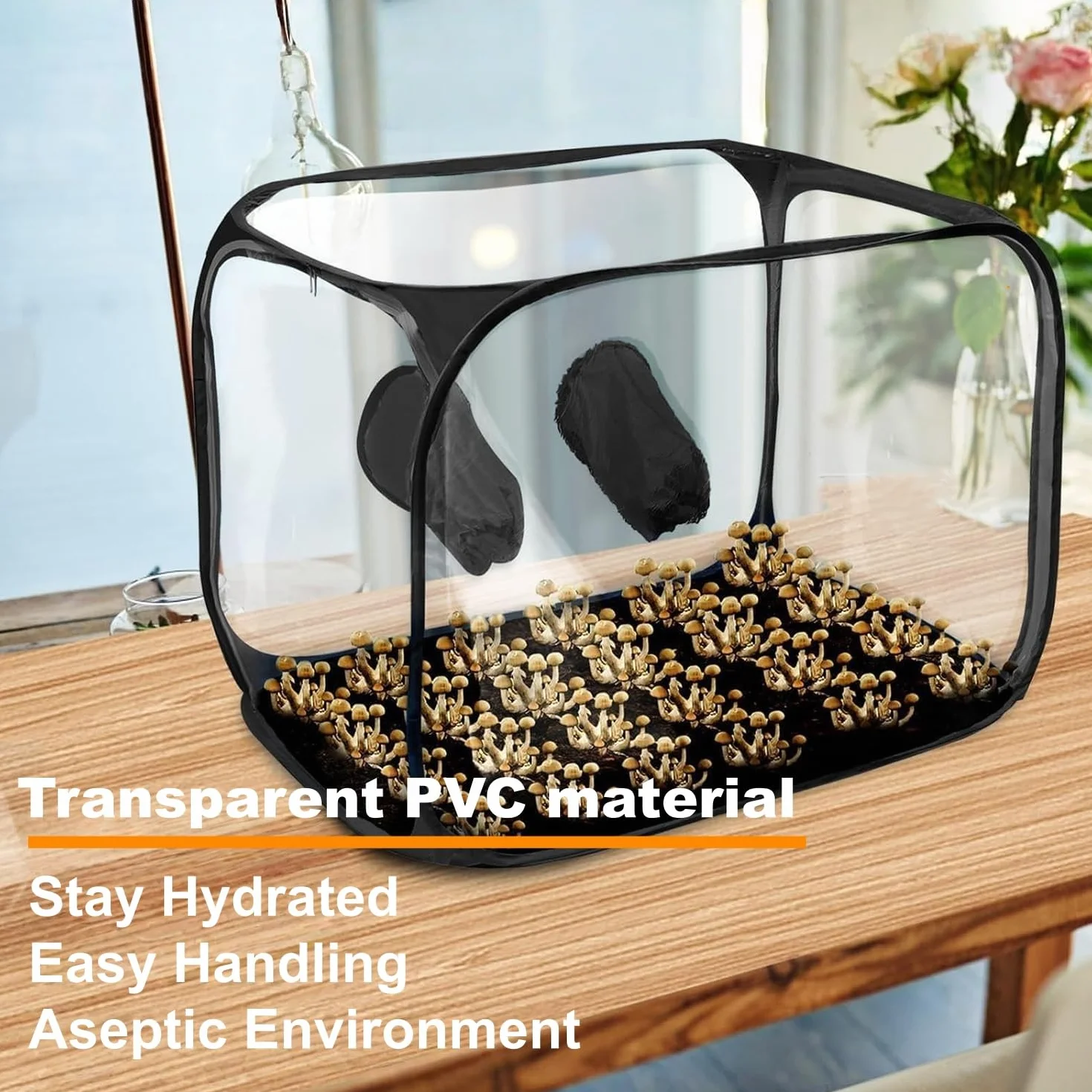 Kit de culture de champignons pliable, Still Air Box 85x52x52 cm tente transparente pop-up portable