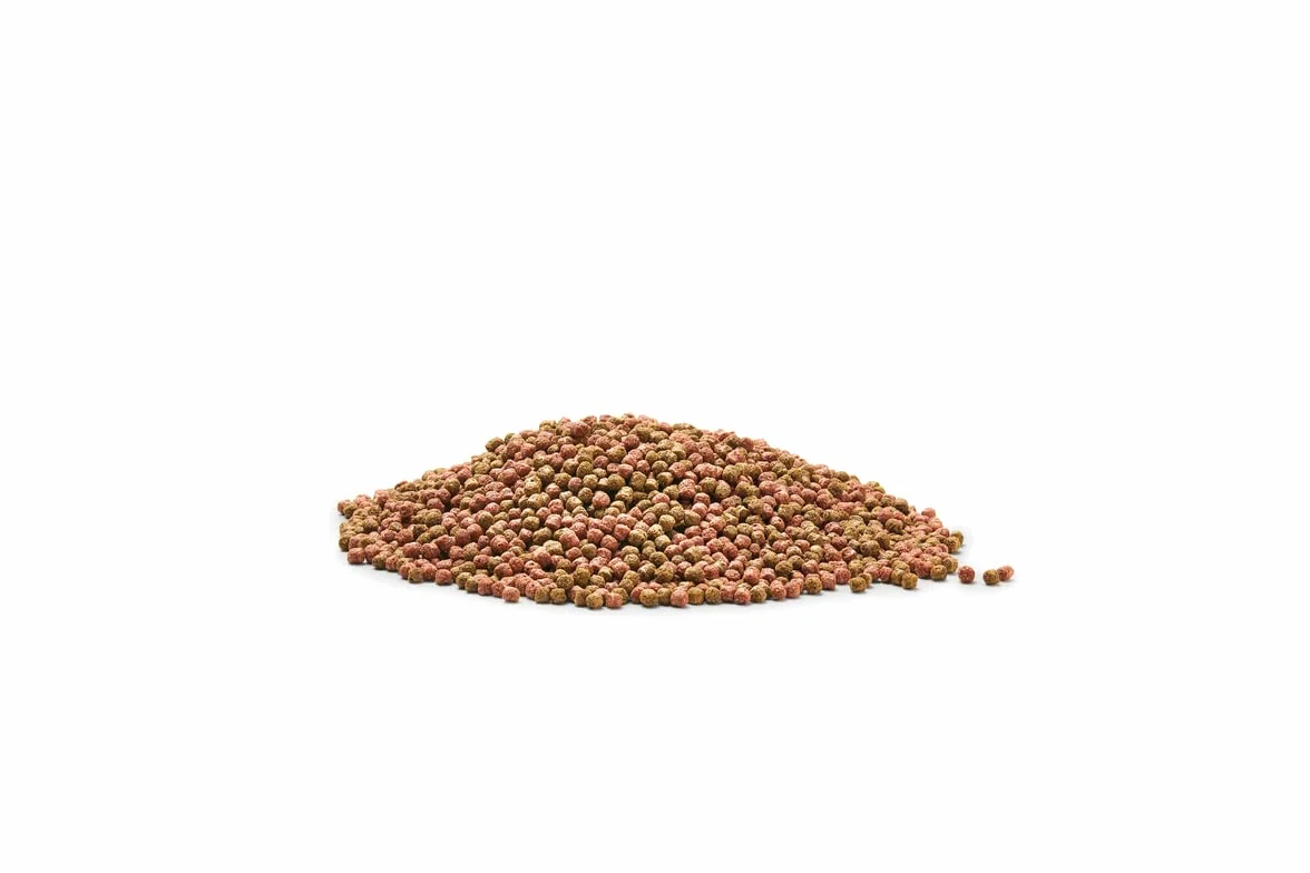 Dynamix Koi Pellet 8 l, Nourriture pour Poissons de Bassin, Nourriture pour Koïs, Petit Taille, 2.8kg