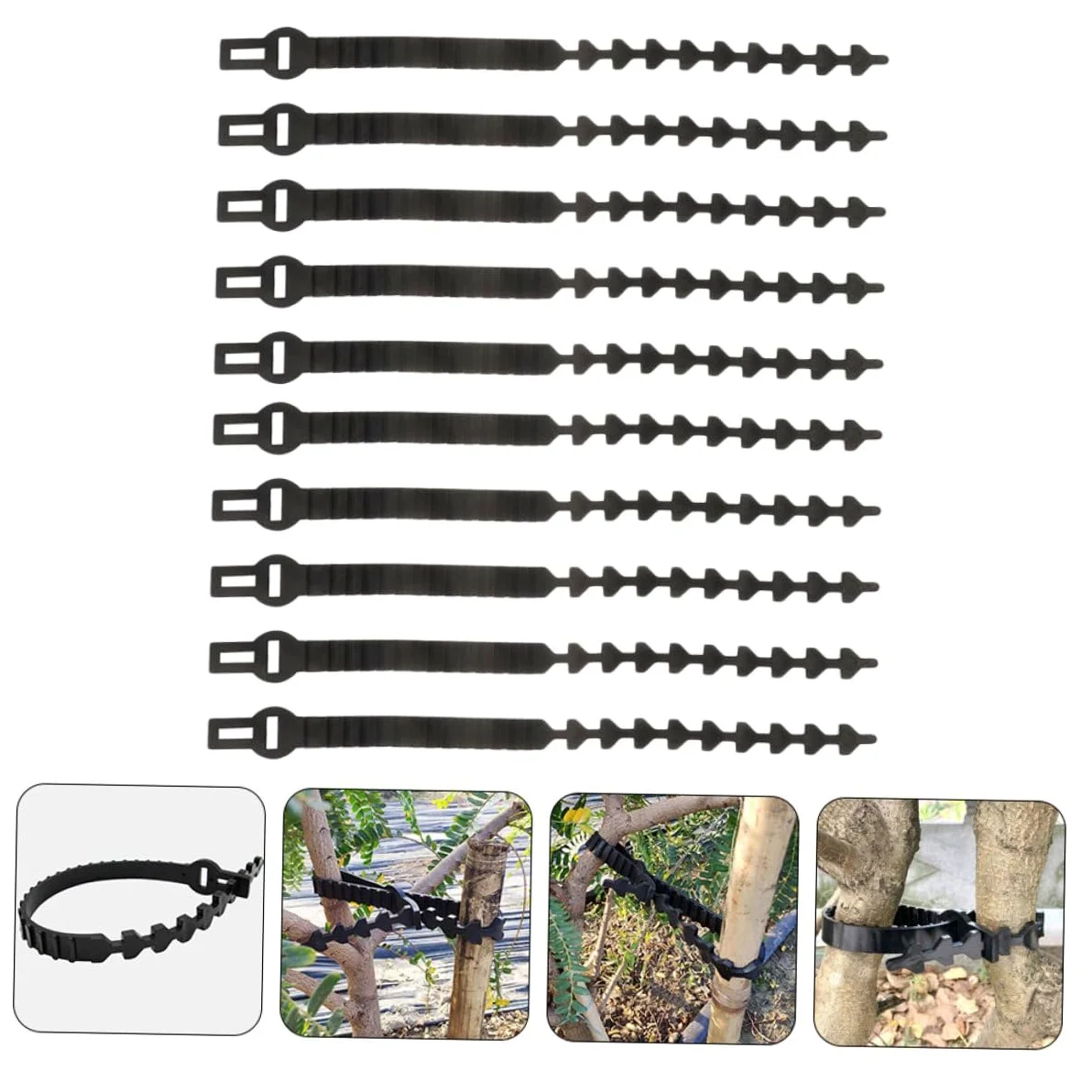 Lot de 10 Sangles en Caoutchouc pour Attache d'arbre Fruitier, Supports Robustes et Ajustables pour Fixation et Formation des Jeunes Plants