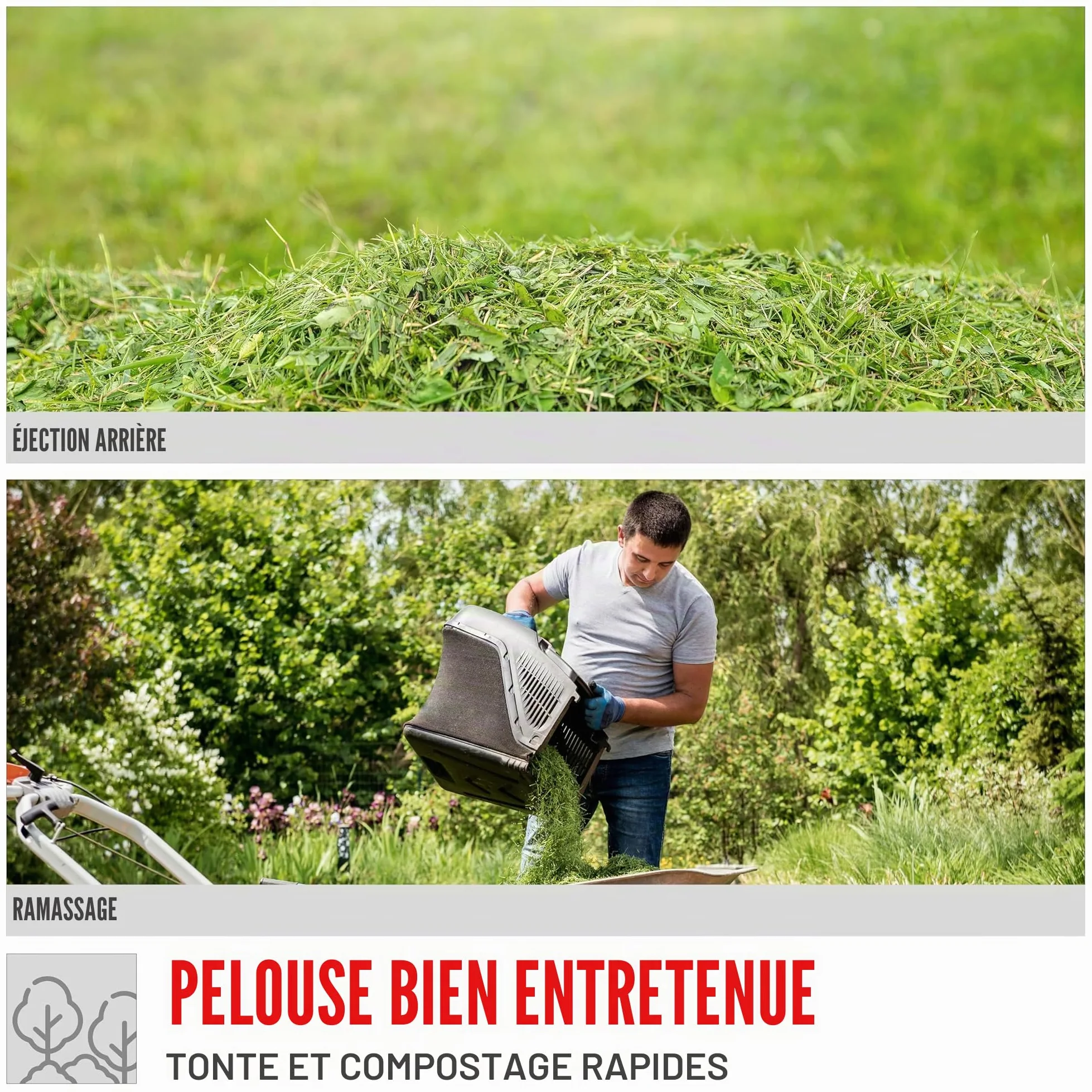 Güde Tondeuse à Gazon ECO Wheeler 390 1,6 R (Moteur à Essence 4 Temps 1,6/2 (KW/PS), Largeur de Coupe 390 mm, Dispositif de Capture 35 l, 3 Niveaux de Hauteur de Coupe 30-66 mm, Tonte, Collecte,