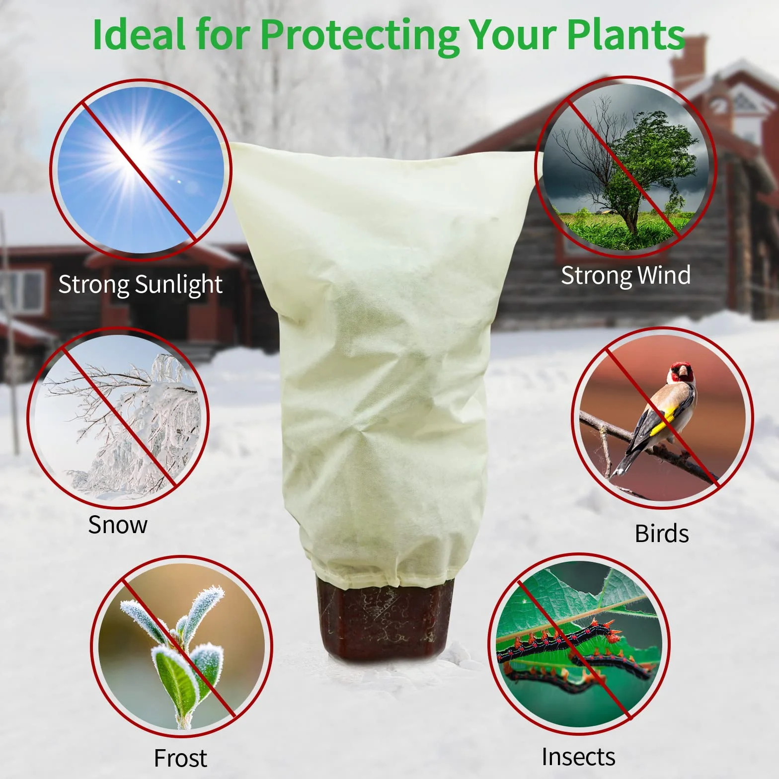 Housse de Protection pour Plantes 50g/m² 60cm x 80cm Antigel Perméable Coupe-Vent